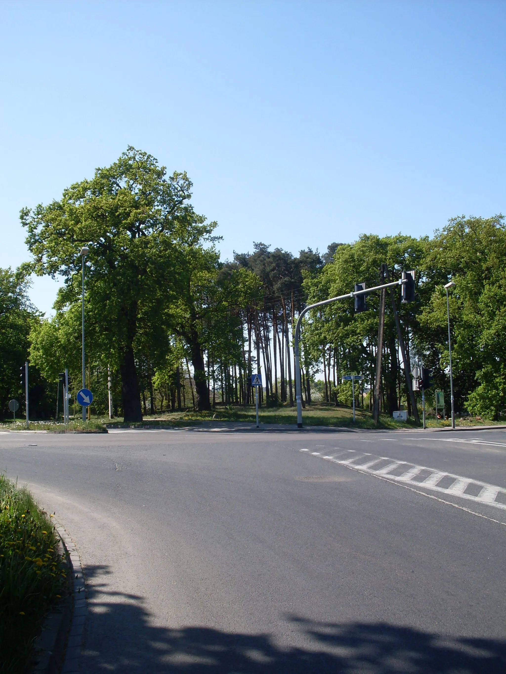 Photo showing: Skwer w Policach - Mścięcinie