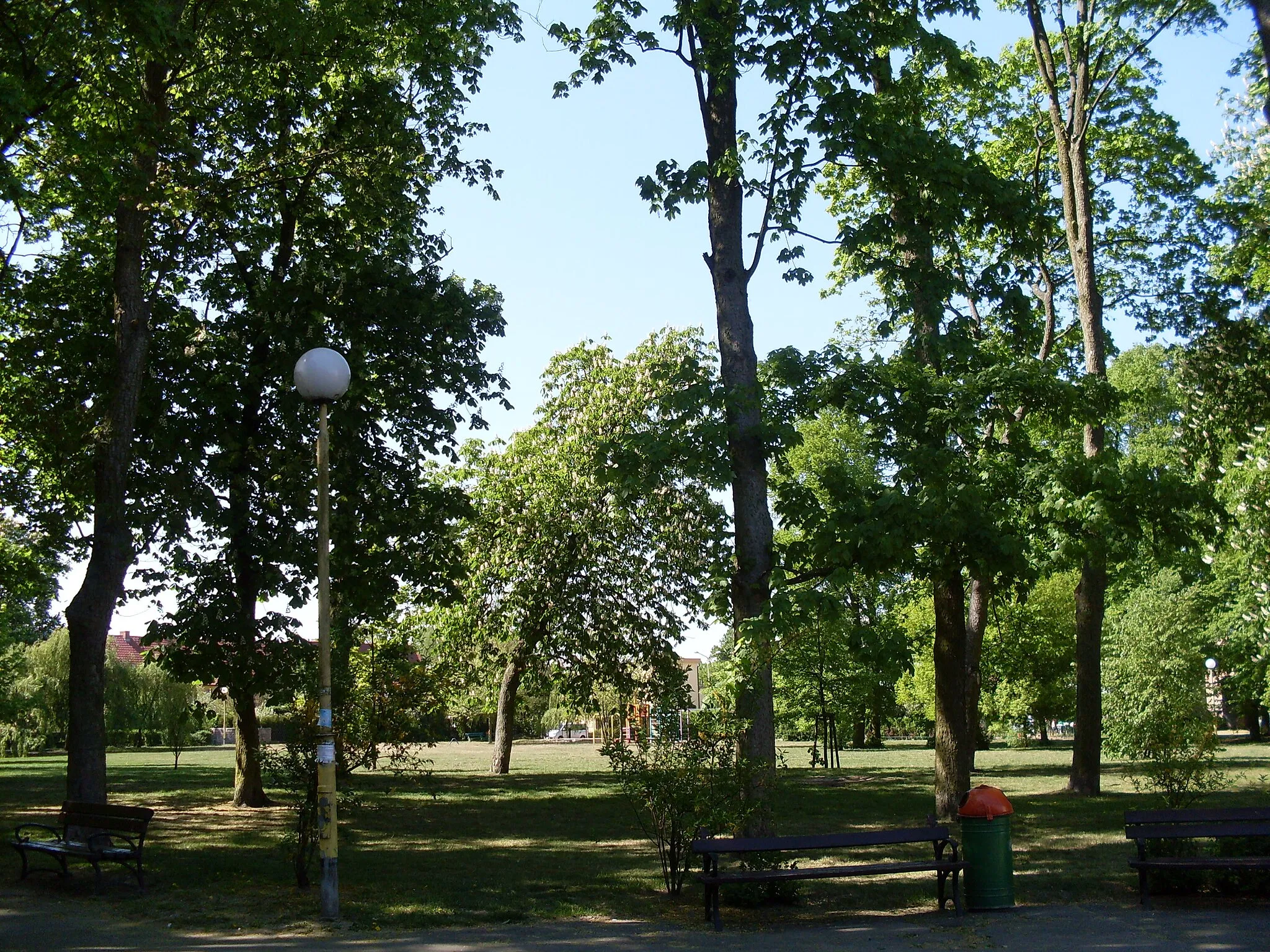 Photo showing: The Staromiejski Park in Police, Poland