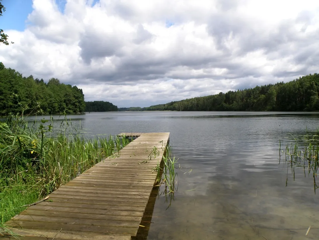 Photo showing: Jezioro Zdbiczno