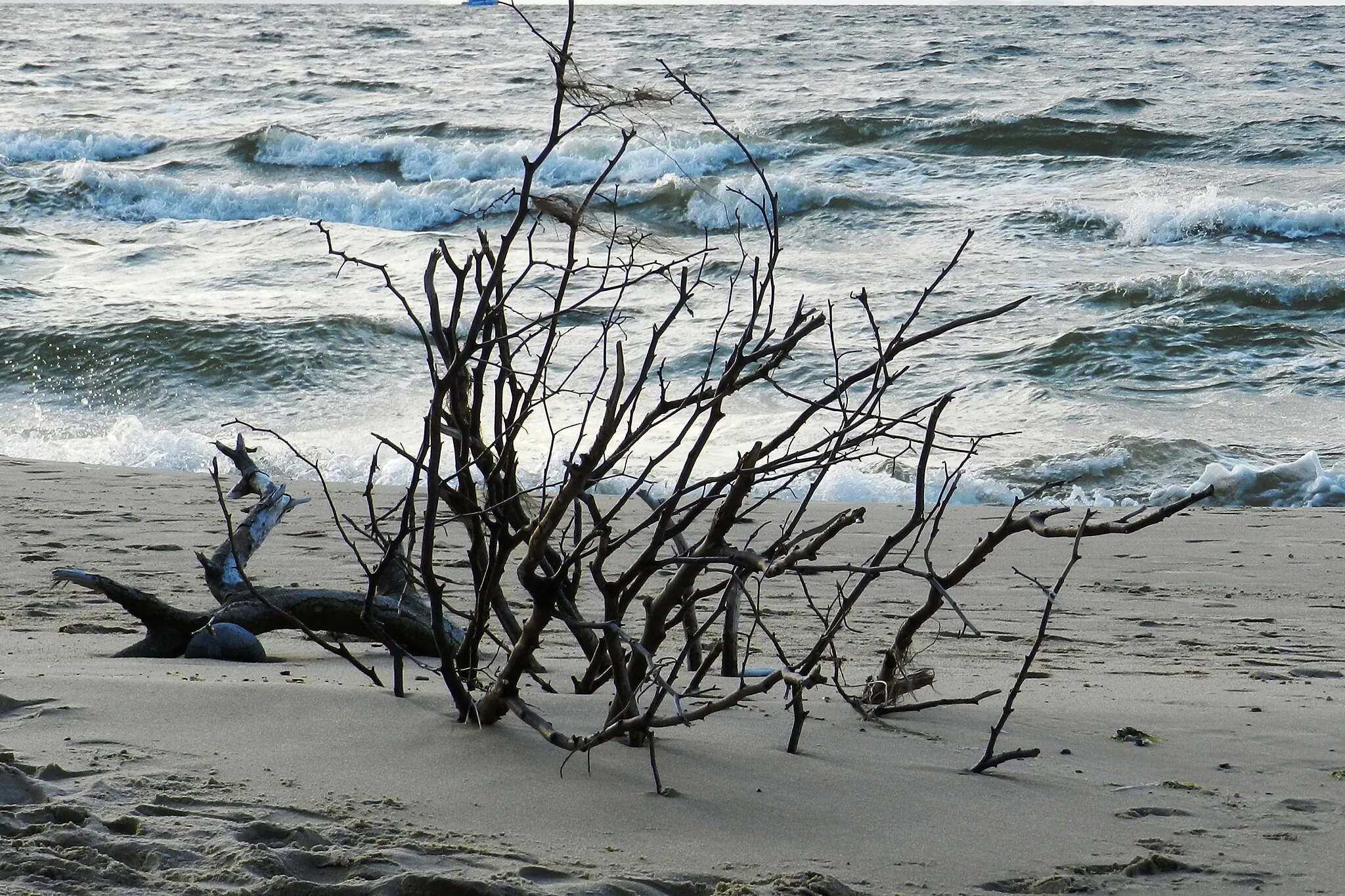 Photo showing: Dzika plaża