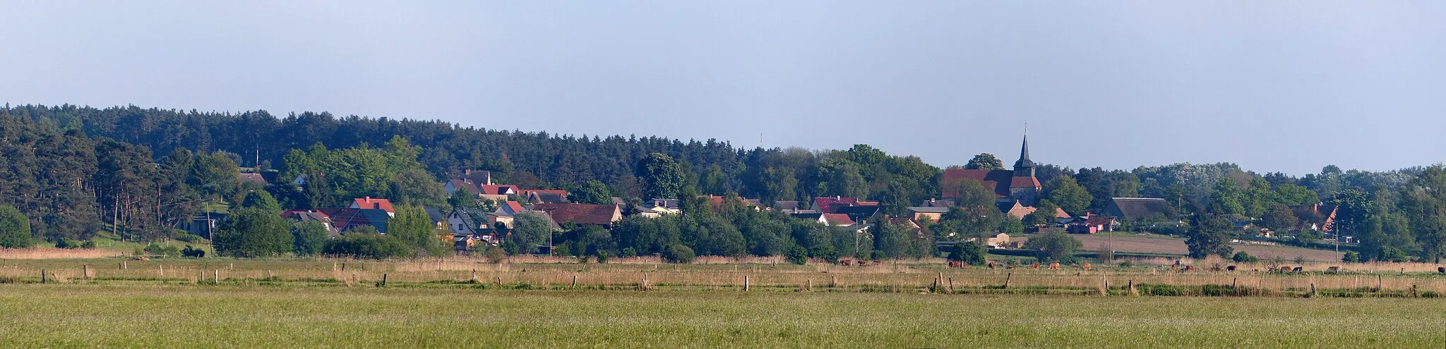 Photo showing: Blick von Ulrichshorst aus nördlicher Richtung über das Thurbruch nach Zirchow