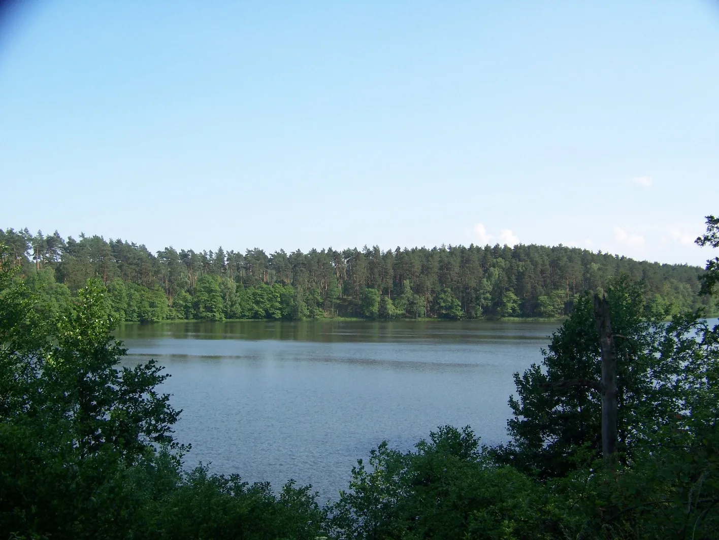 Photo showing: Widok z Kanału Sicieńskiego na północno-wschodni brzeg jeziora Ostrowieckiego, na Kłocie Ostrowieckie, Drawieński Park Narodowy