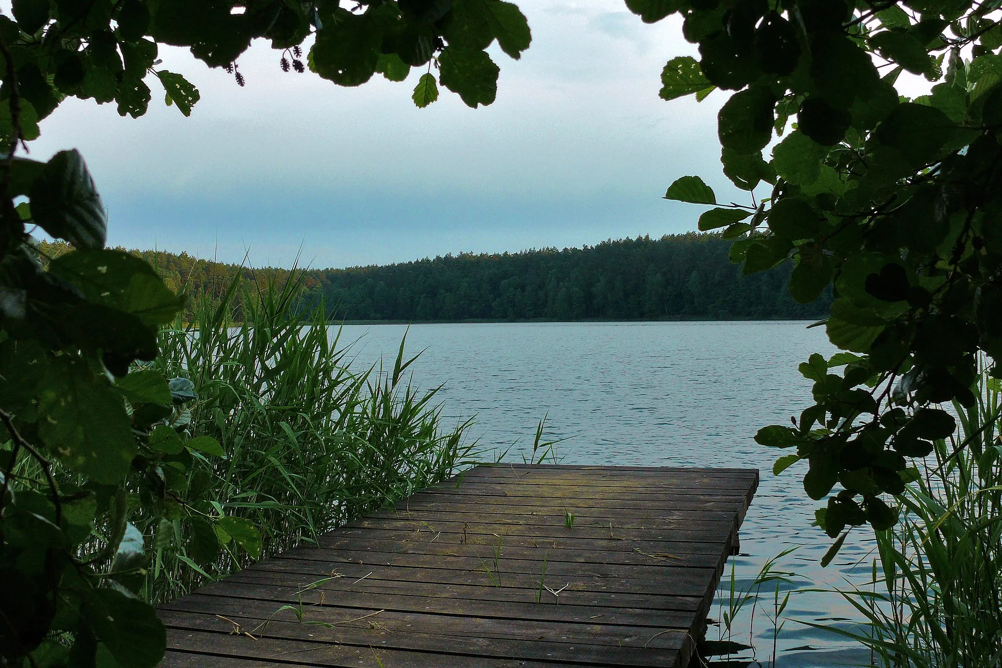 Photo showing: Czerne lake in Drawieński National Park