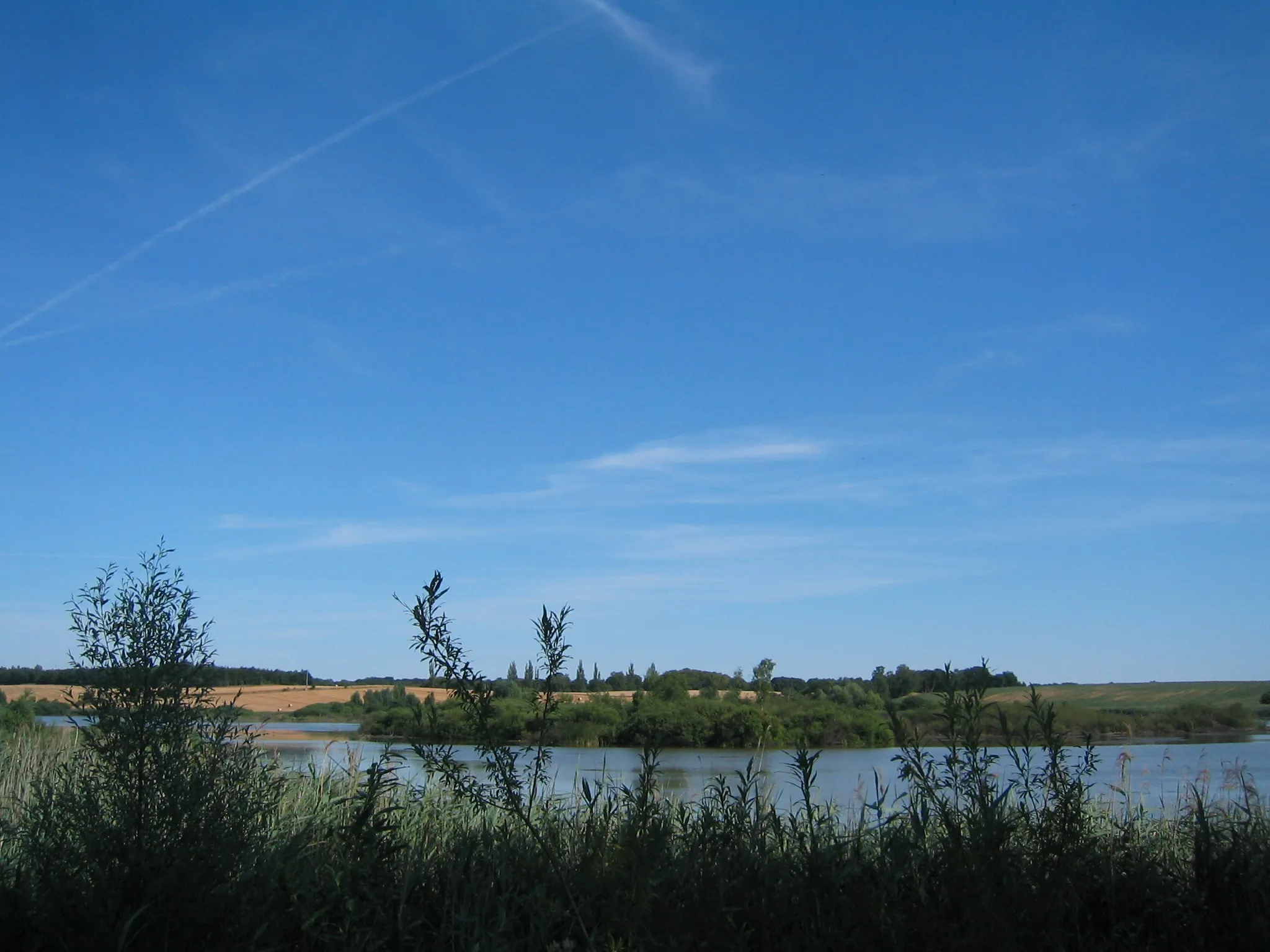 Photo showing: (Grosser) Plötzsee bei Görlsdorf und Peetzig in der Uckermark.