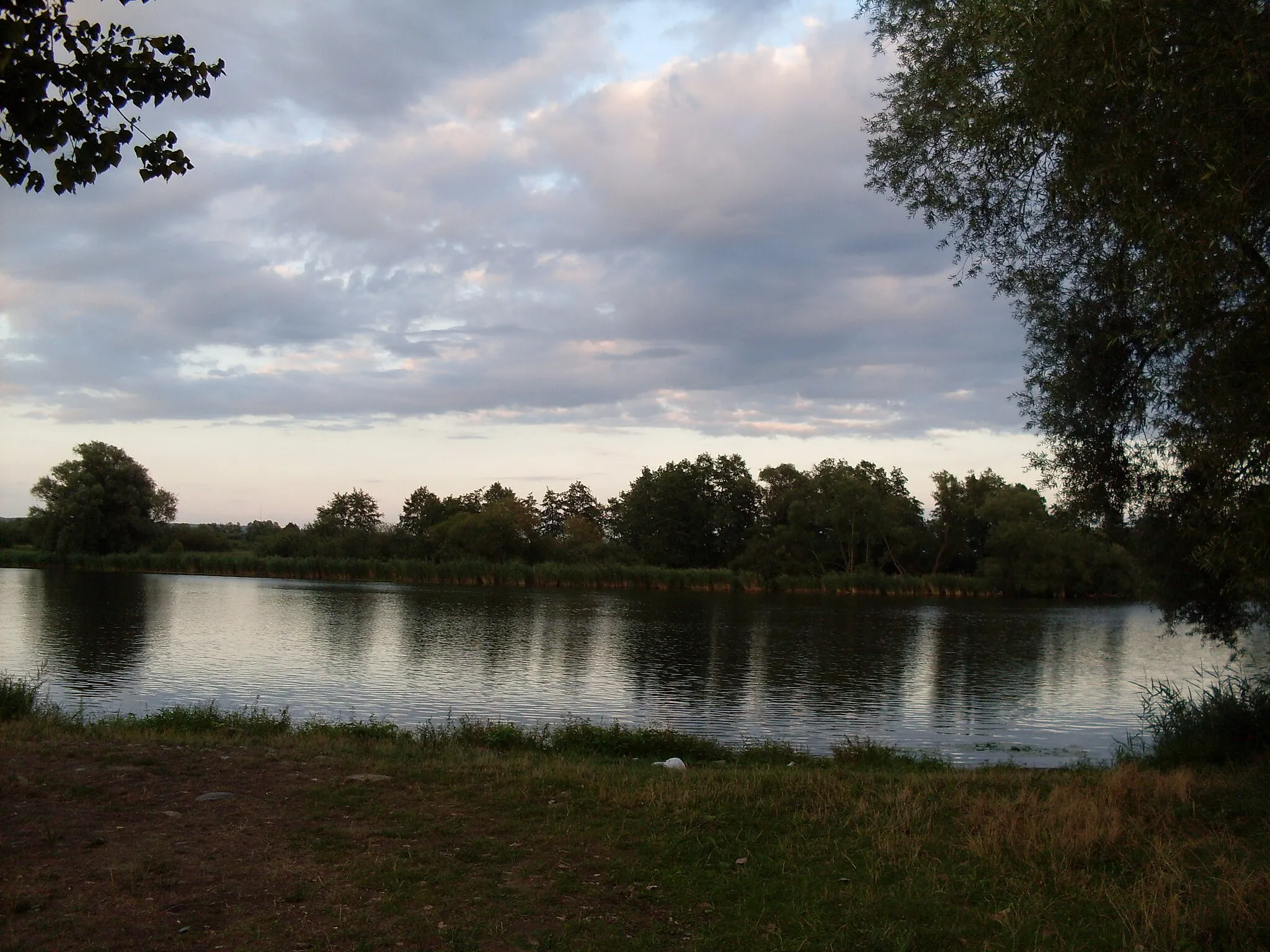 Photo showing: Oder River in Siadło Dolne, Police County