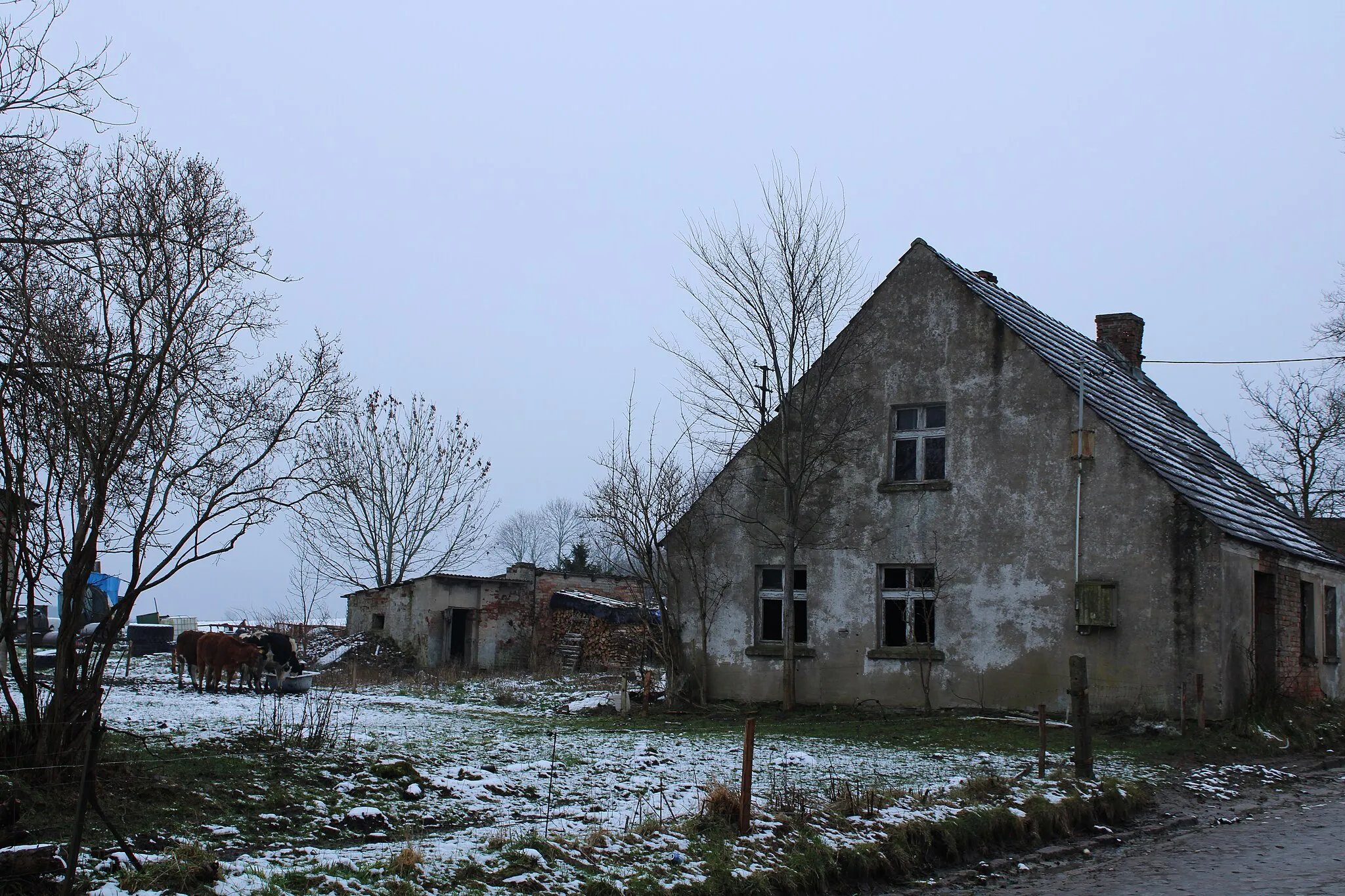 Photo showing: budynek we wsi Przećmino