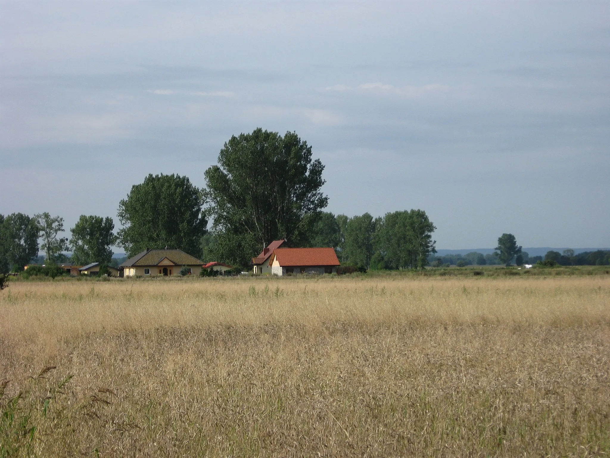 Photo showing: Photo village Dobroszyn