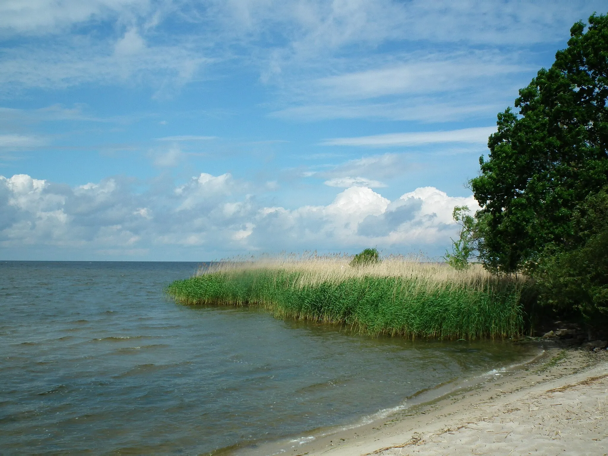 Photo showing: Zalew Szczeciński widziany z Czarnocina.