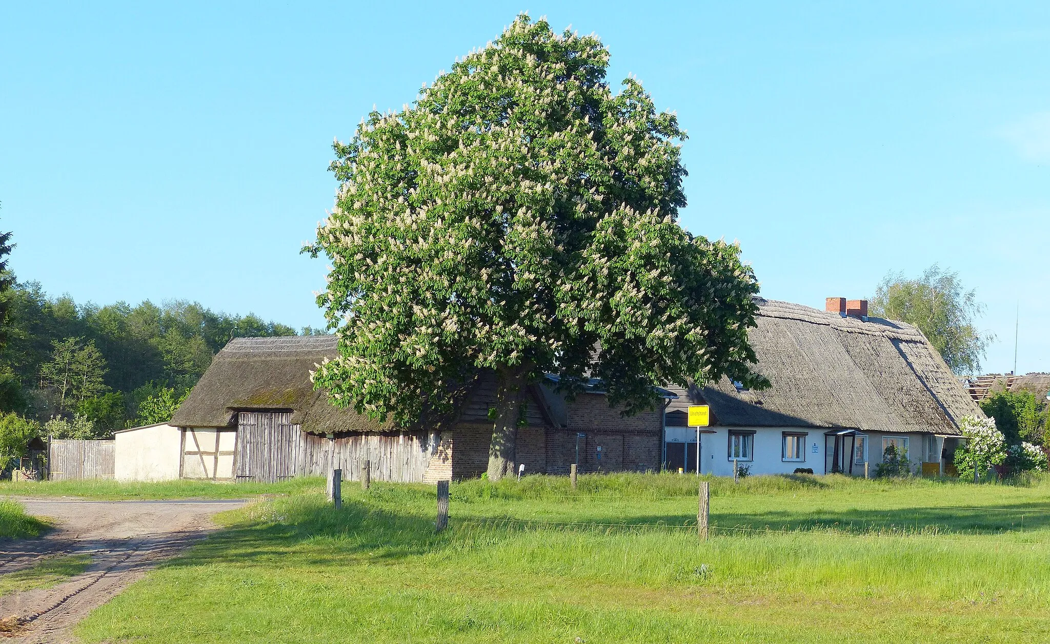 Photo showing: Westlicher Ortseingang von Ulrichshorst, Dorfstraße 57 und 56, Siedlerhäuser