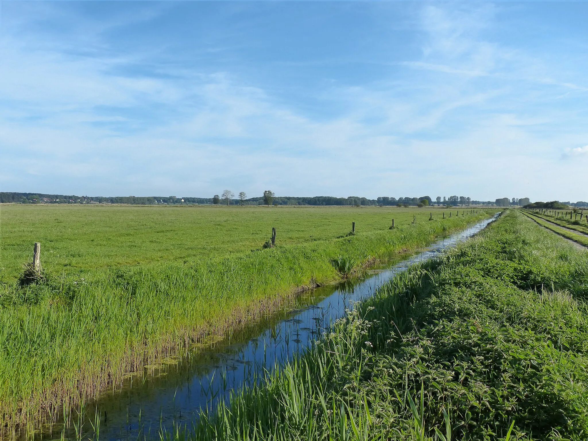 Photo showing: Wassergraben im Thurbruch bei Ulrichshorst