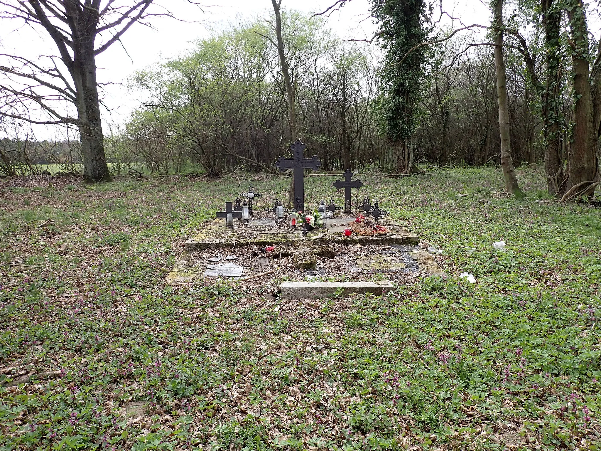 Photo showing: Żeleźno – dawny cmentarz niemiecki we wsi (gm. Białogard, zachodniopomorskie)