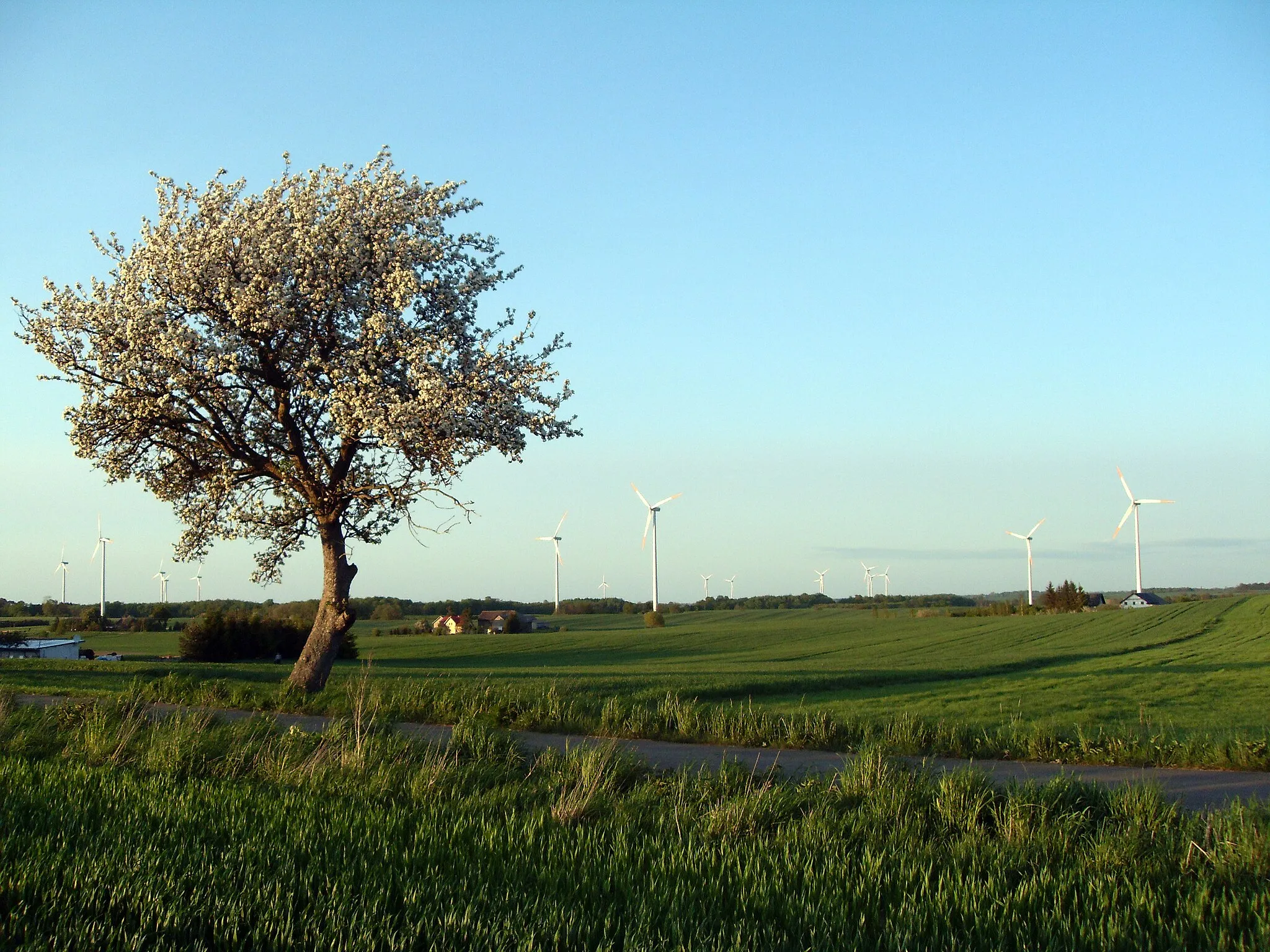 Photo showing: Park Wiatrowy Tymień