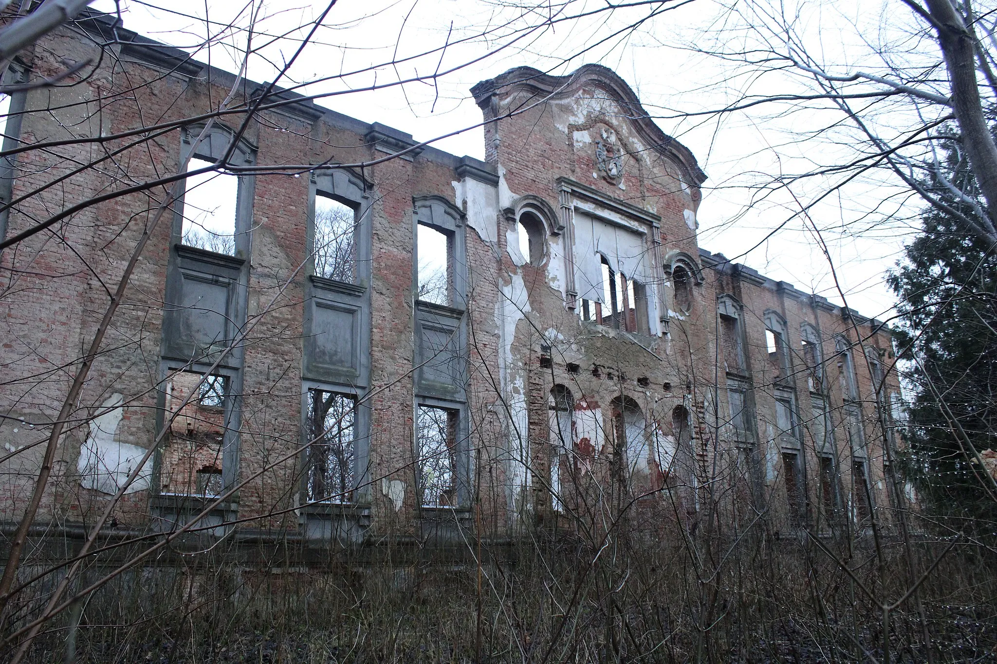 Photo showing: ruiny pałacu we wsi Strzepowo