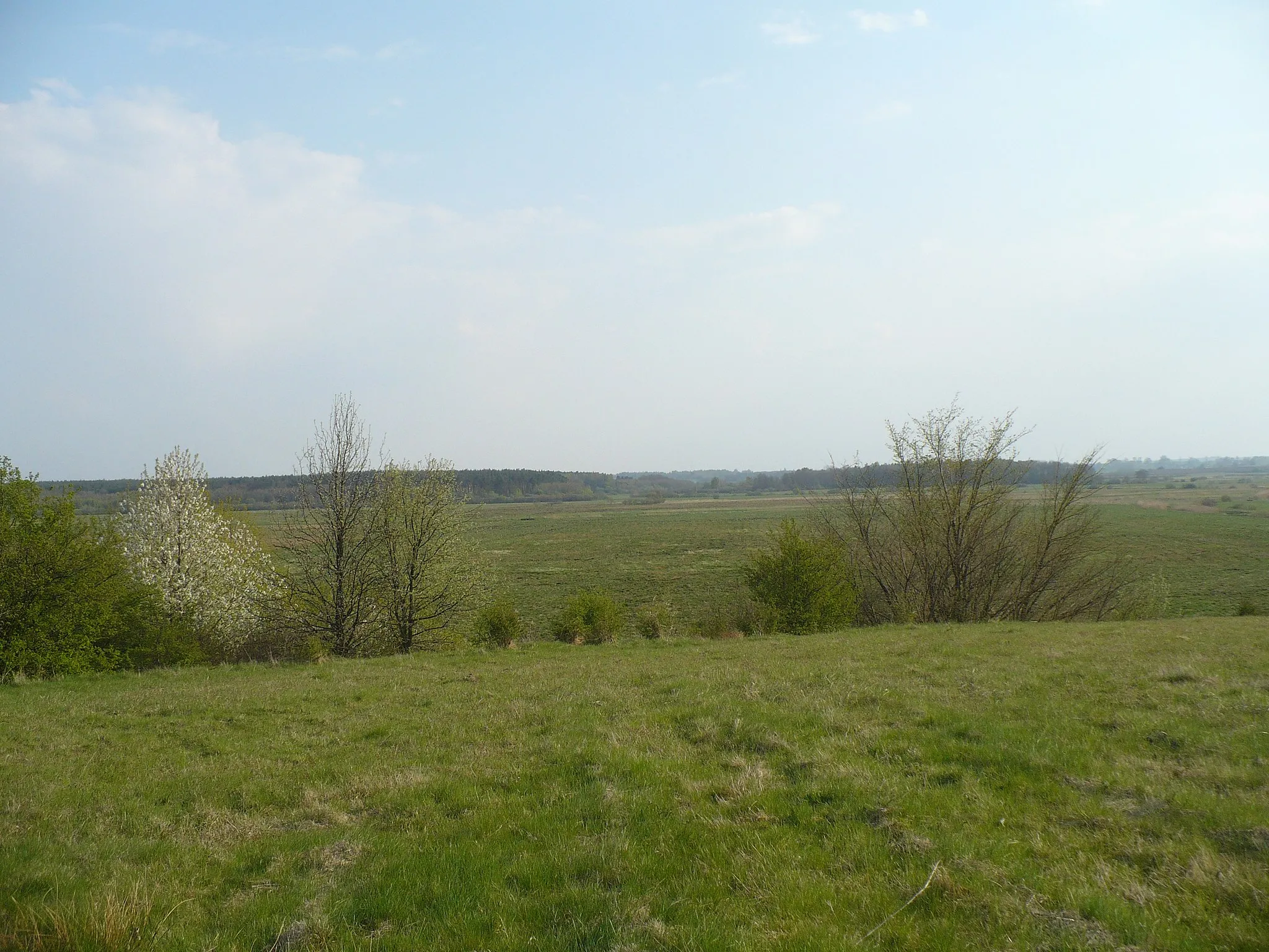 Photo showing: Stary Borek - wzgórze (widok na Błotnicę i Przećmino)