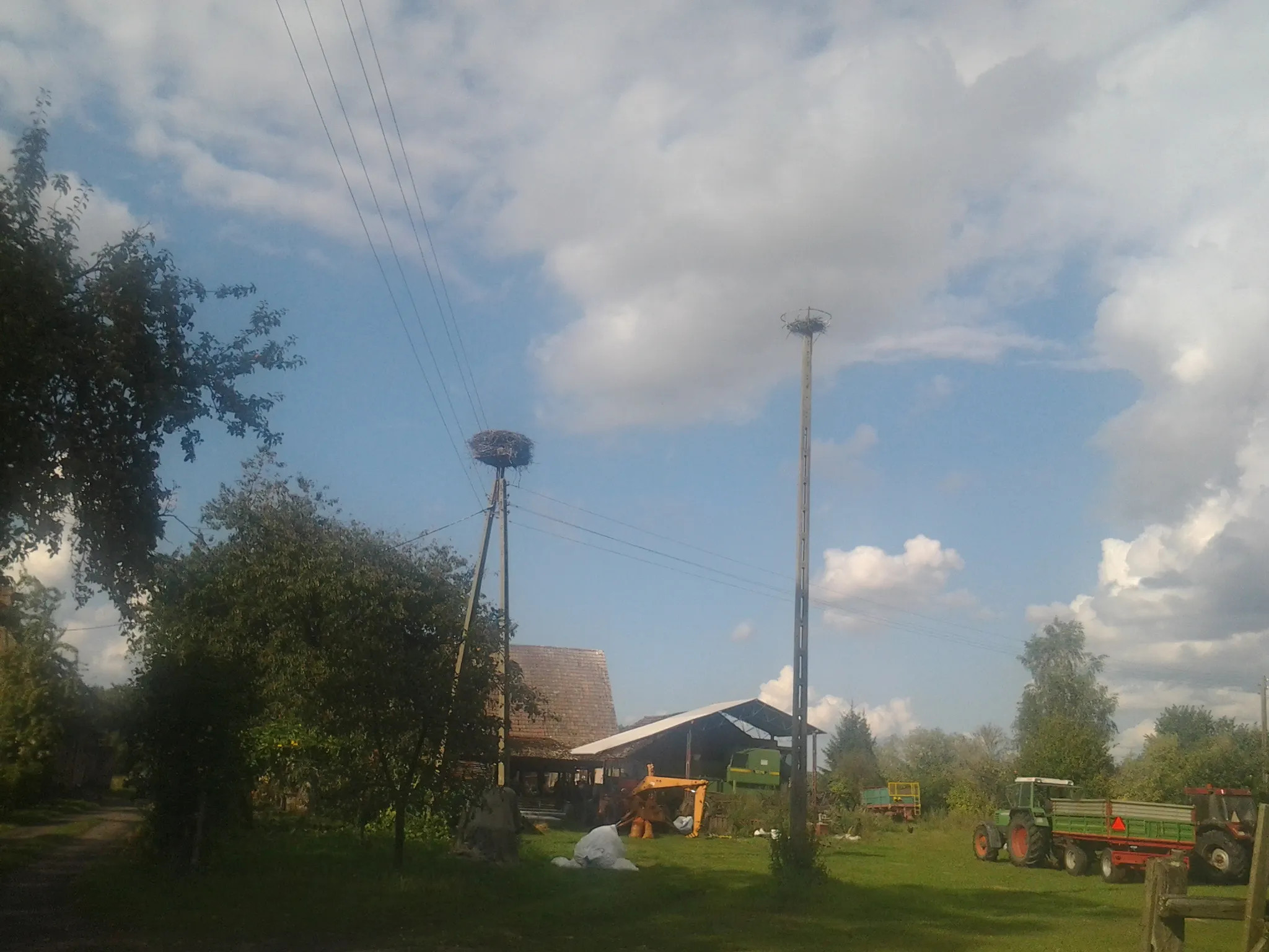Photo showing: Bocianie gniazda w Rotnowie