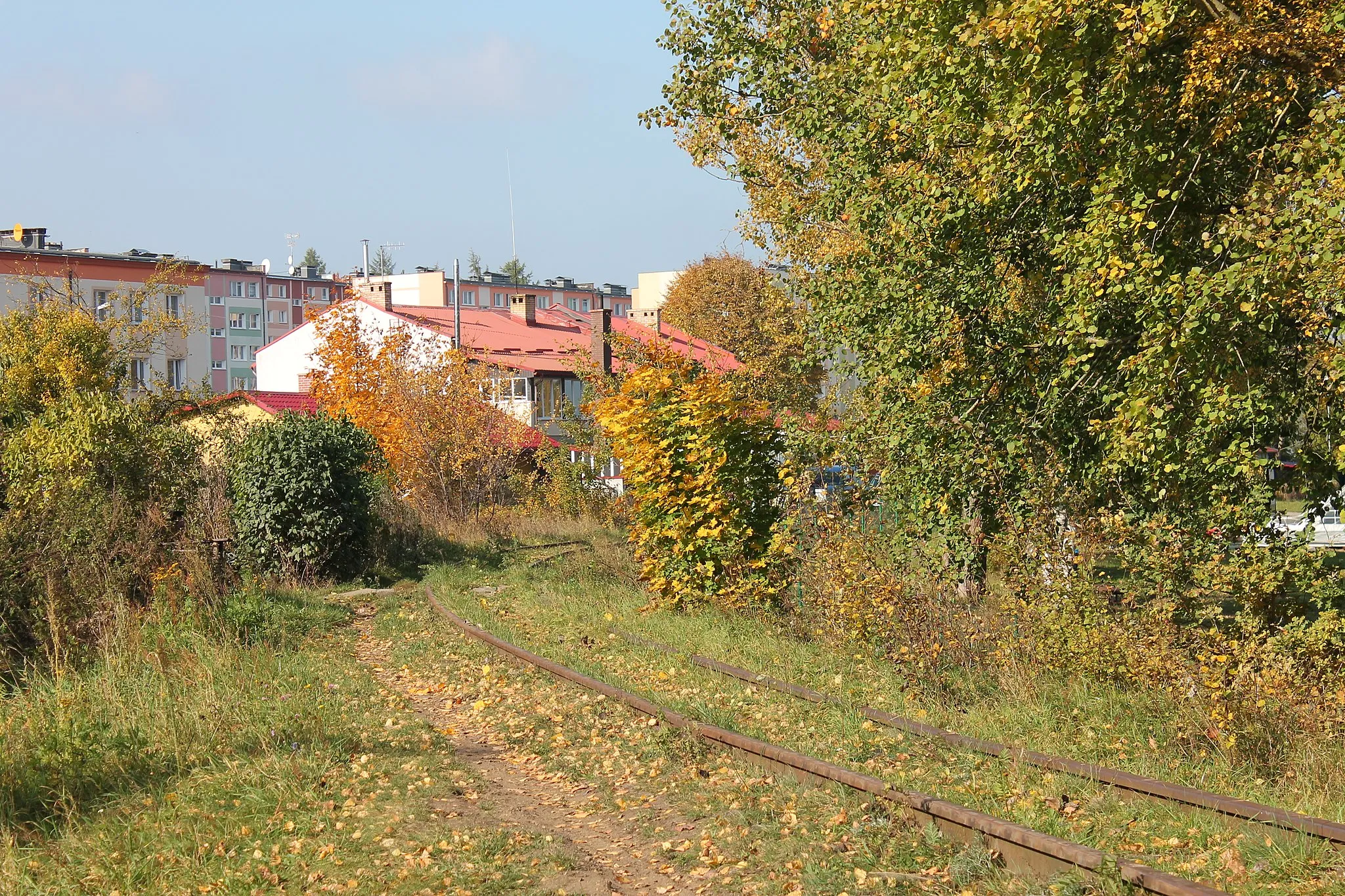 Photo showing: Linia kolejowa (Koszalin Wąskotorowy - Świelino), 1898-1905, w miejscowości Rosnowo , gmina Manowo.