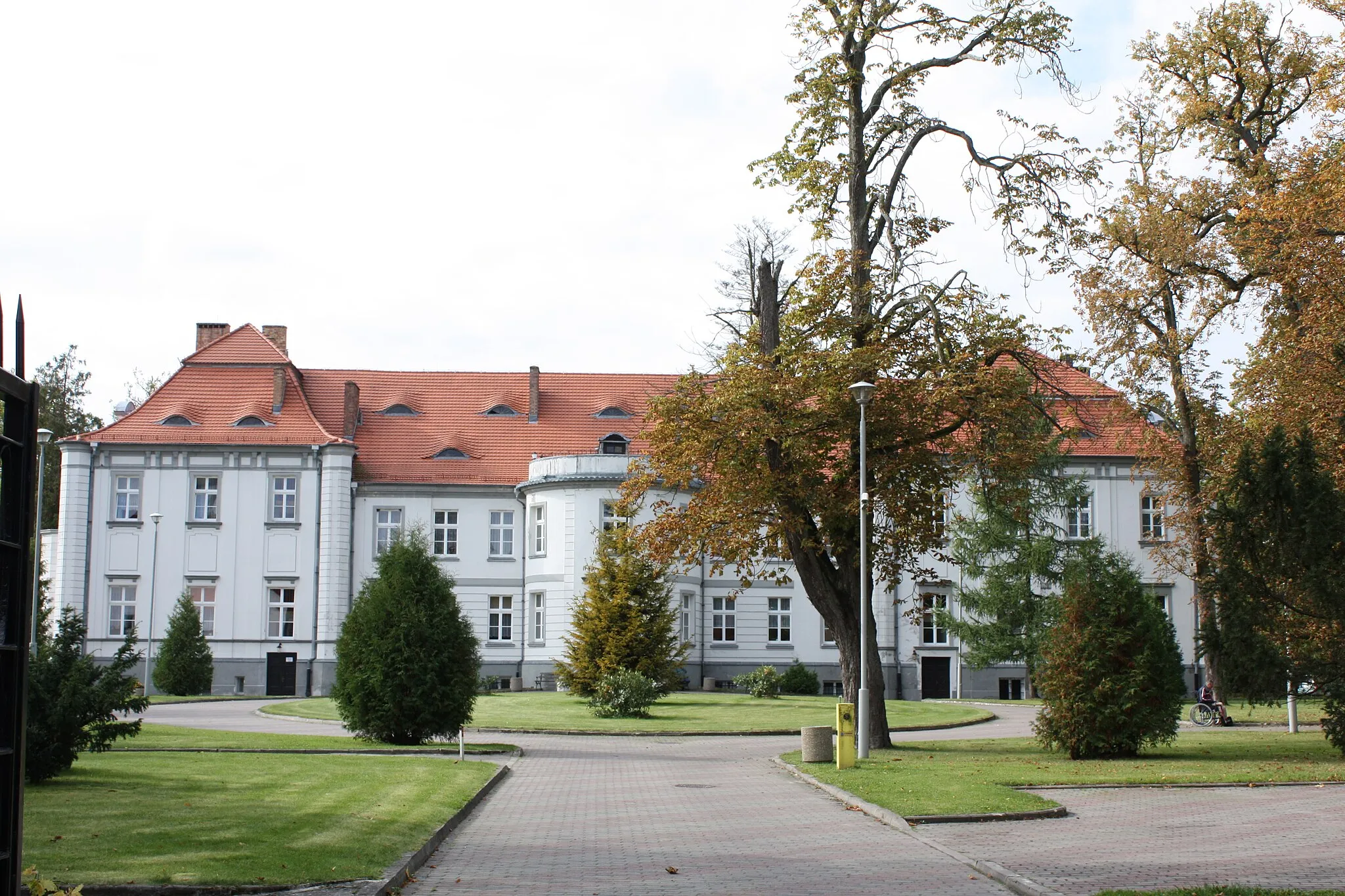 Photo showing: Pałac (park dworski) w Parsowie