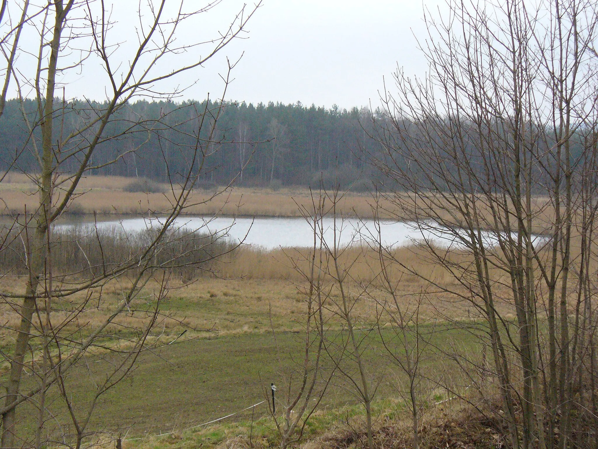 Photo showing: okolice Ogartowa - widok z kolejowego nasypu na stawik