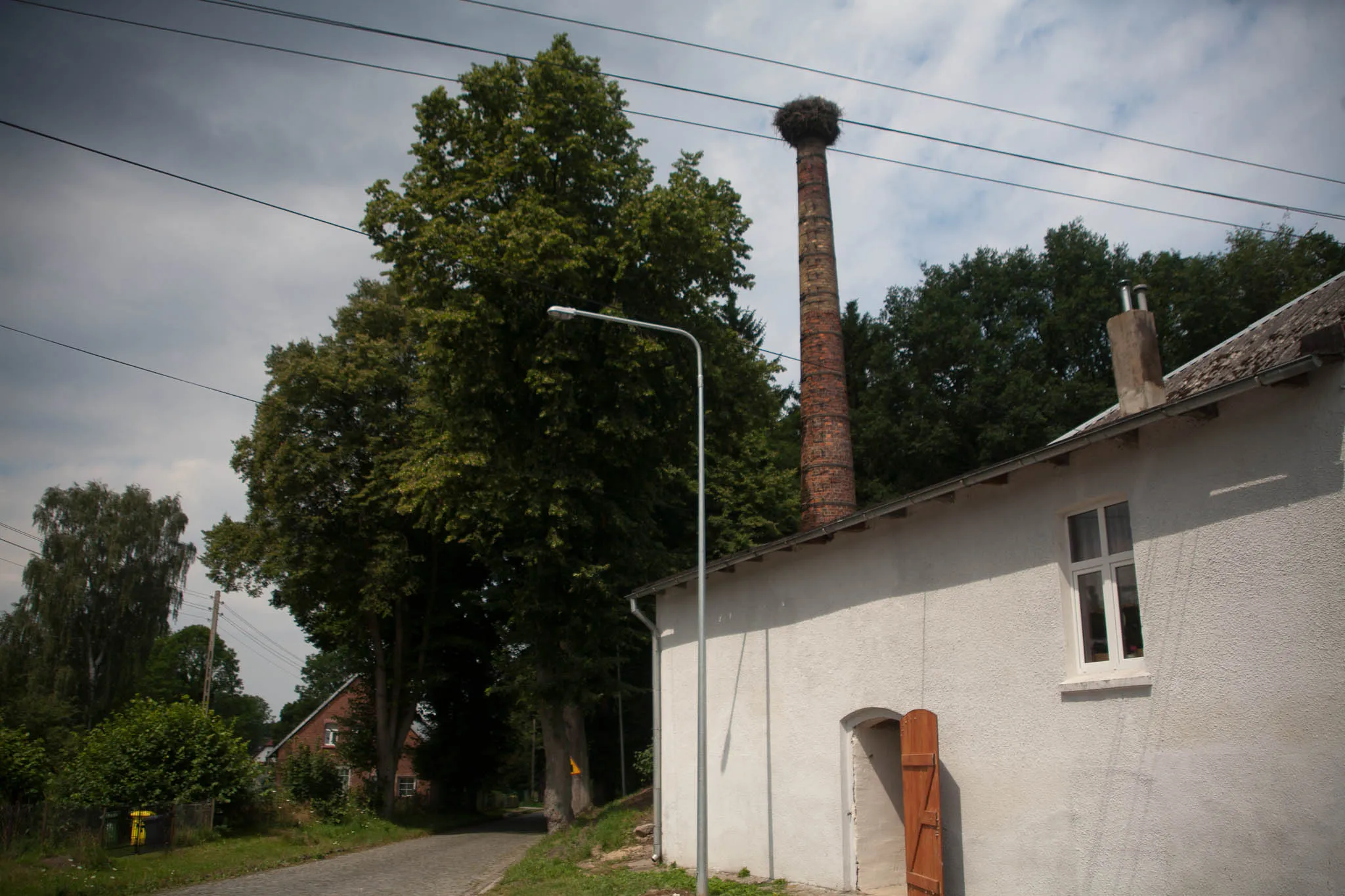 Photo showing: Stork nest in Nieżyn, Poland