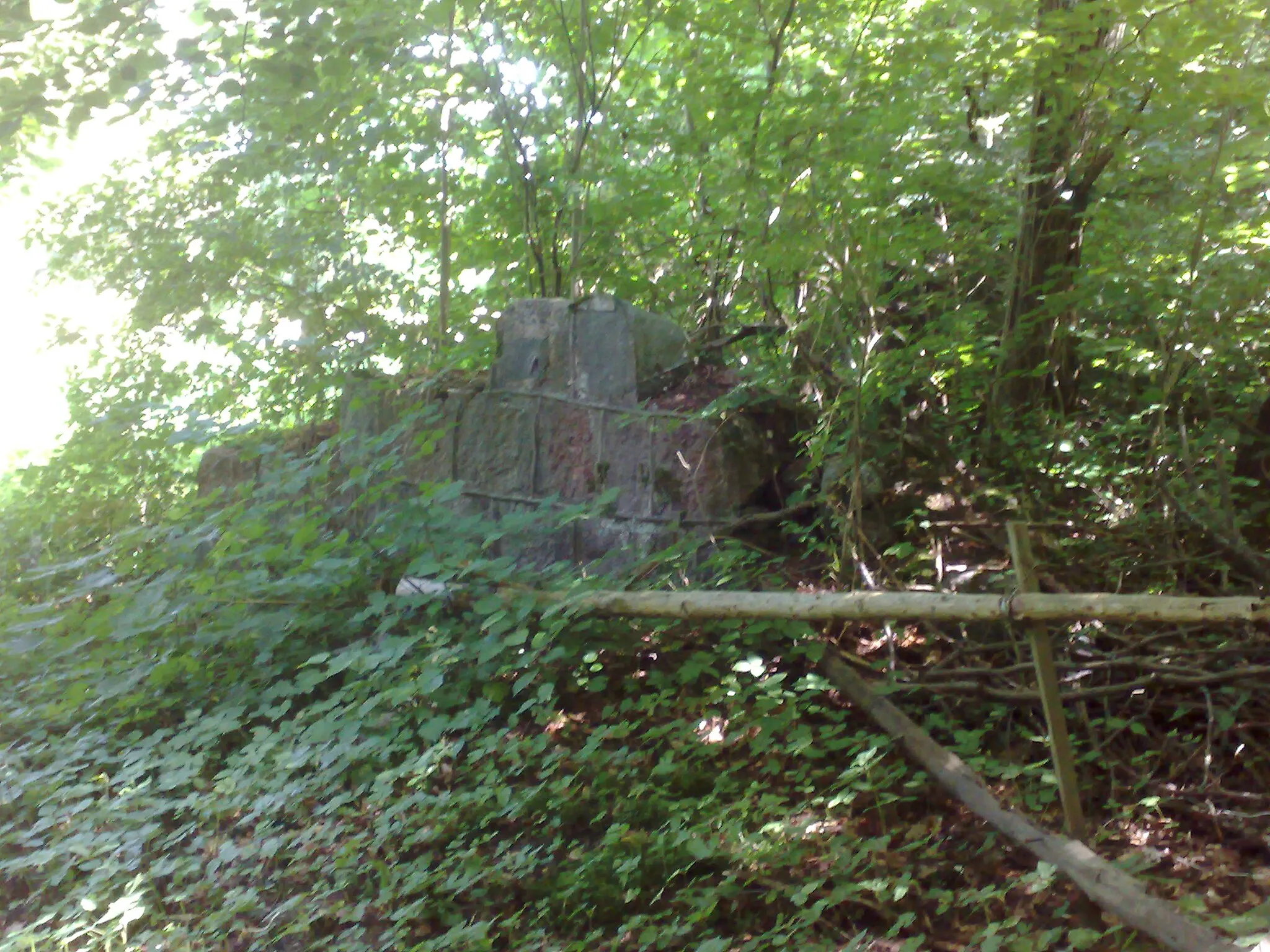 Photo showing: Mauerreste in einem Lestiner Waldgebiet