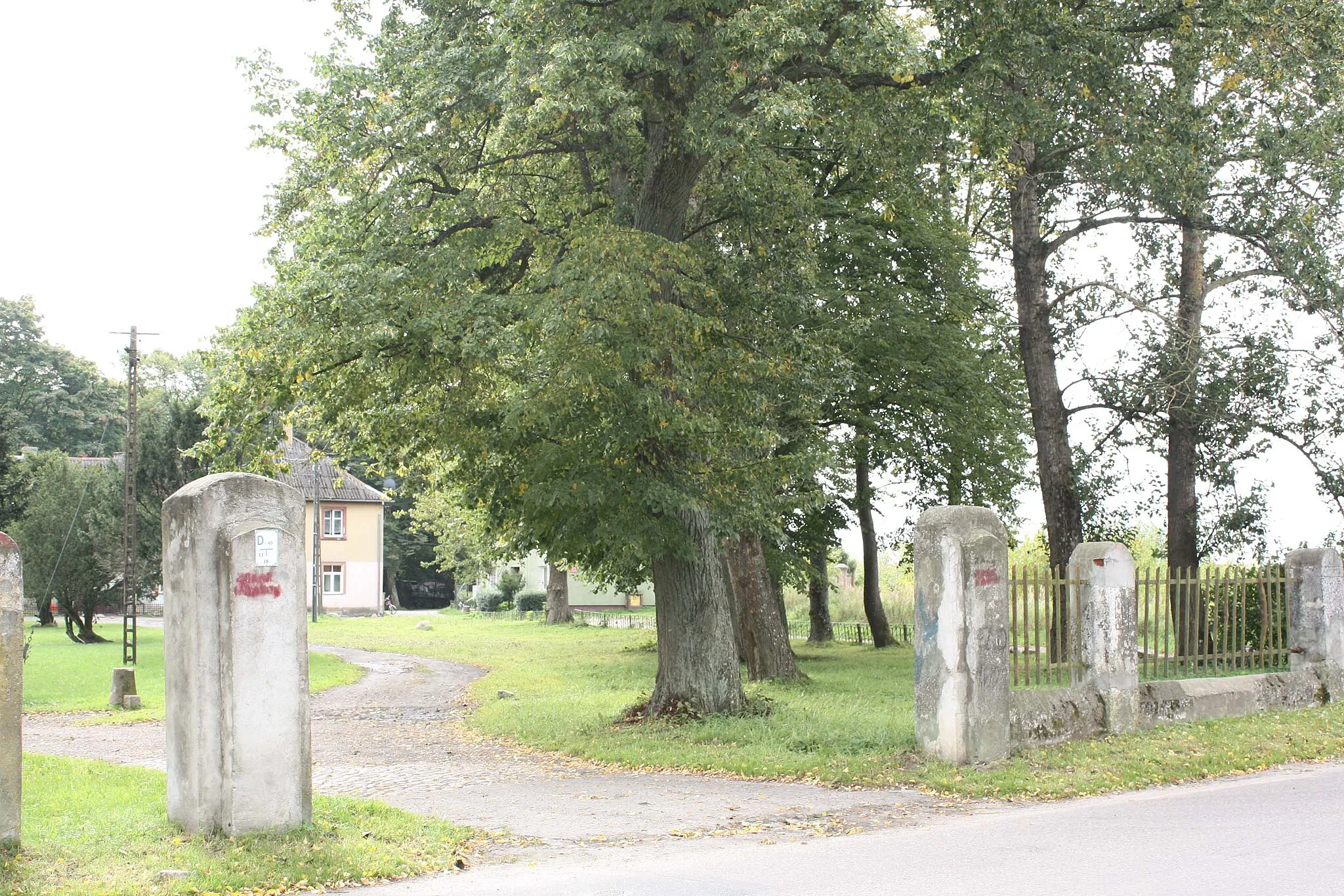 Photo showing: Prawdopodobnie park dworski w Kotłowie