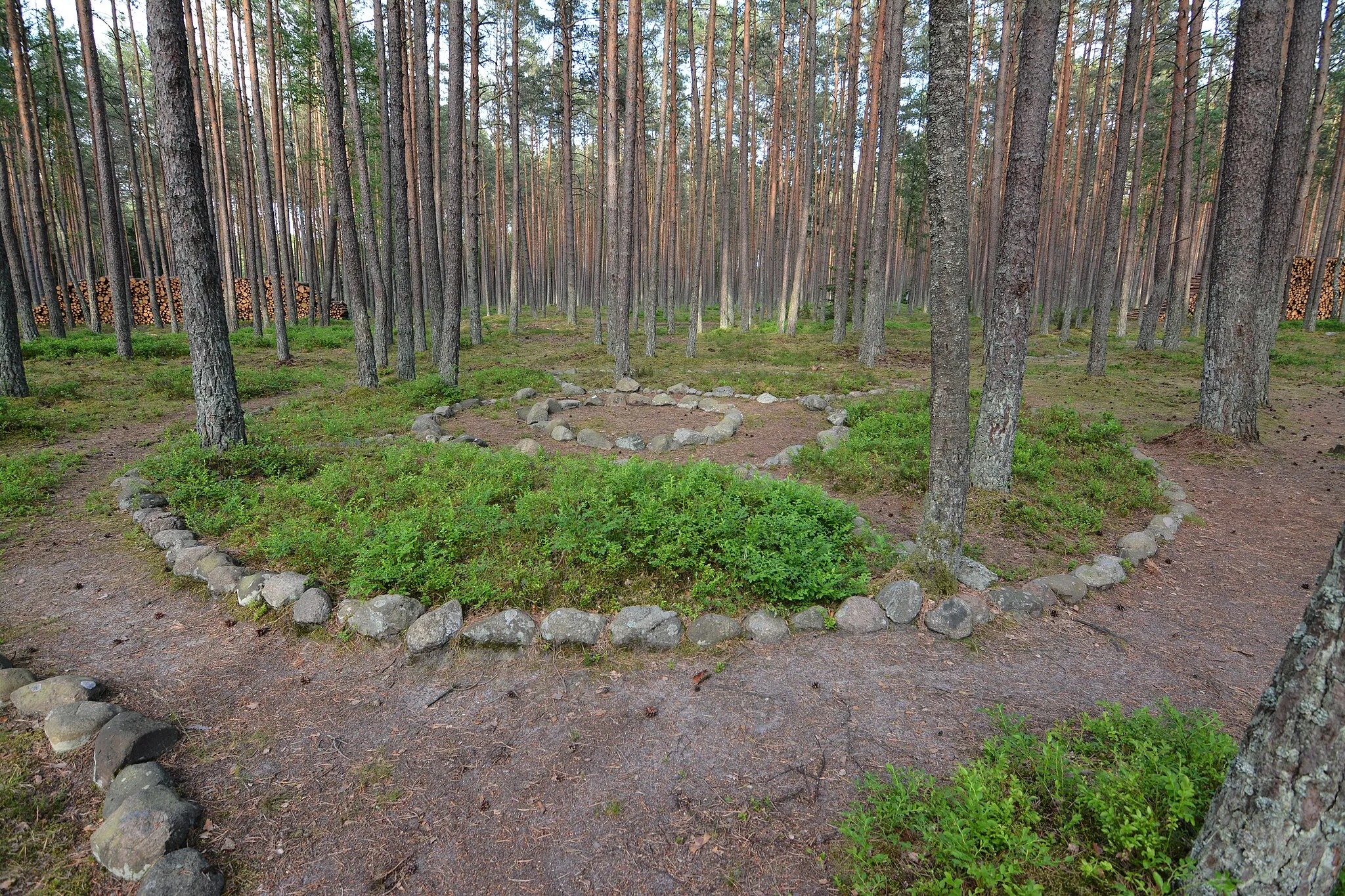 Photo showing: Cmentarzysko z kręgami kamiennymi w Grzybnicy koło Koszalina