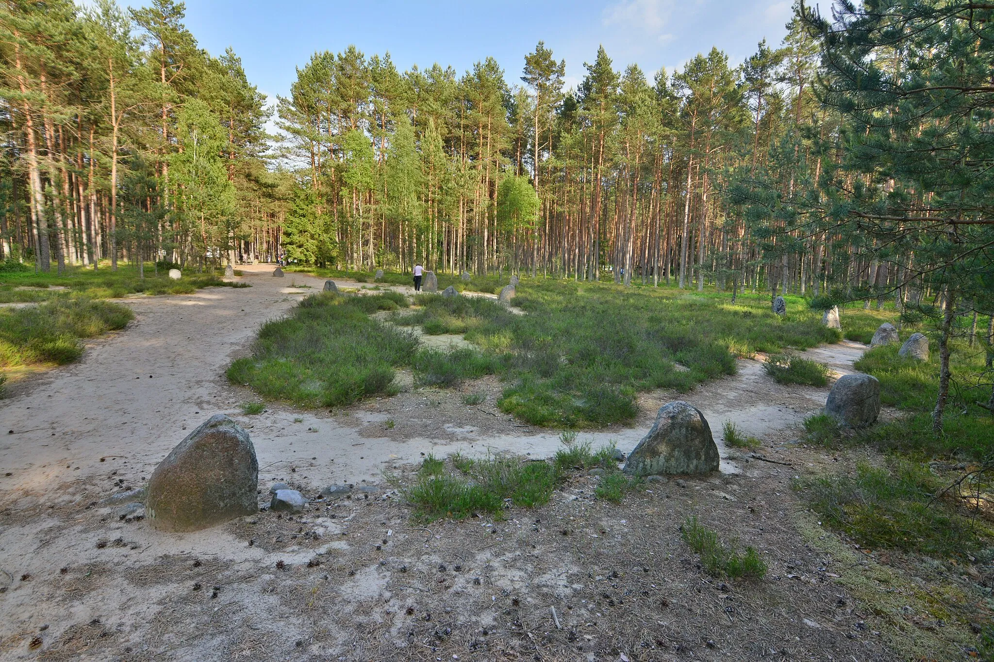 Photo showing: Cmentarzysko z kręgami kamiennymi w Grzybnicy koło Koszalina