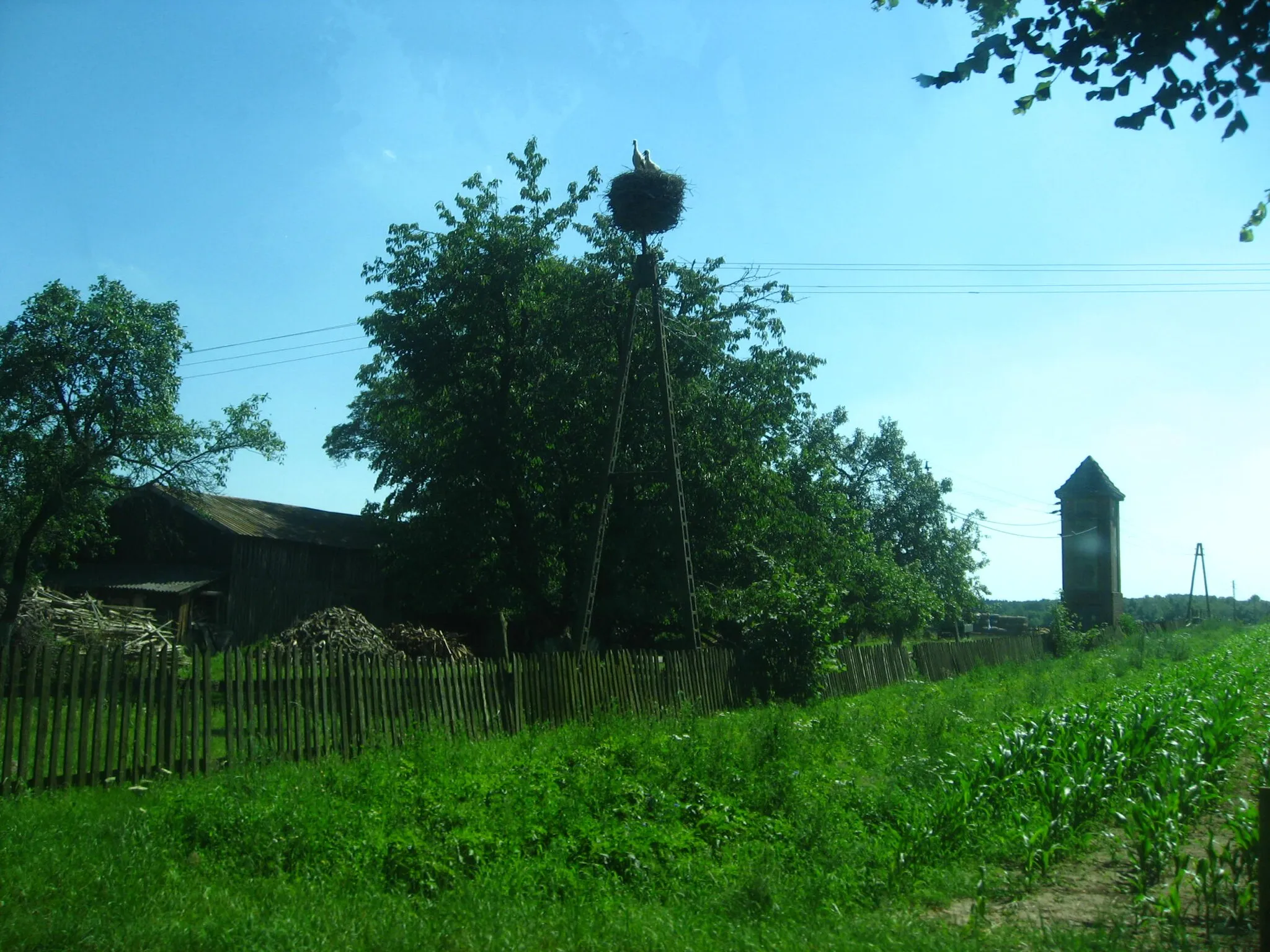 Photo showing: Stork nest in Gorawino, Poland