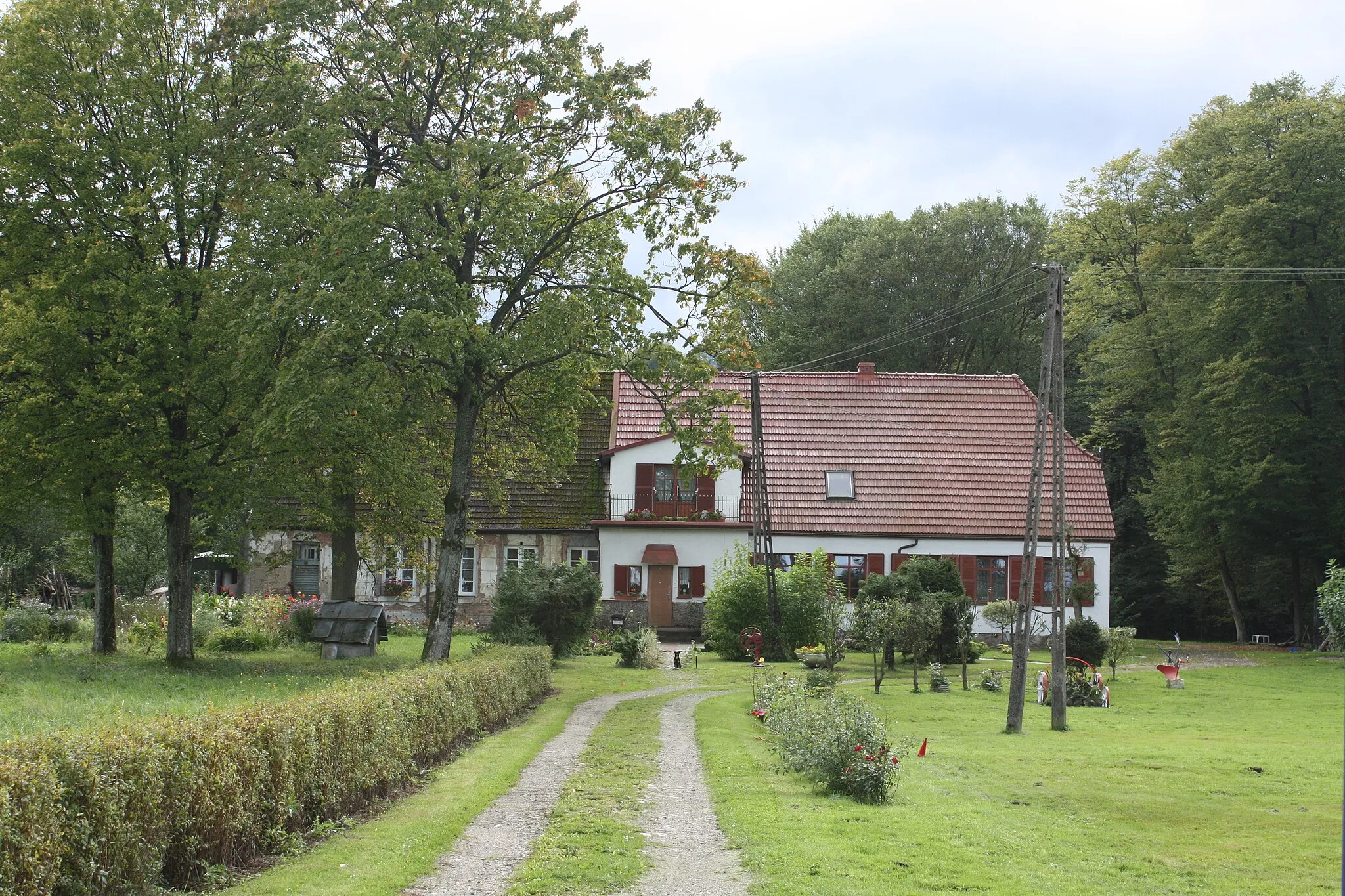 Photo showing: Dwór (park dworski) w Darginie