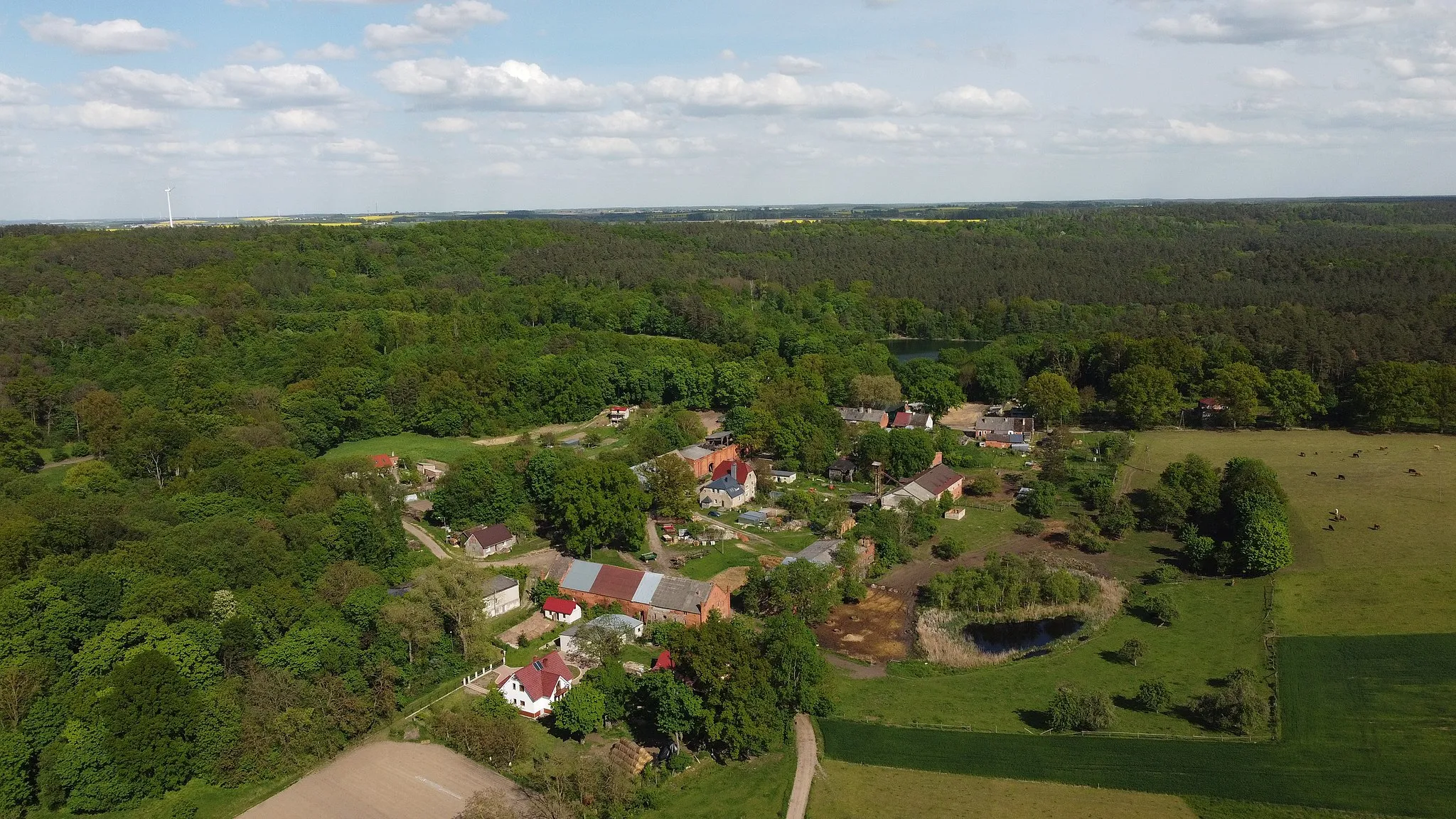 Photo showing: Żydowo, Myślibórz county, NW Poland (view from NW)