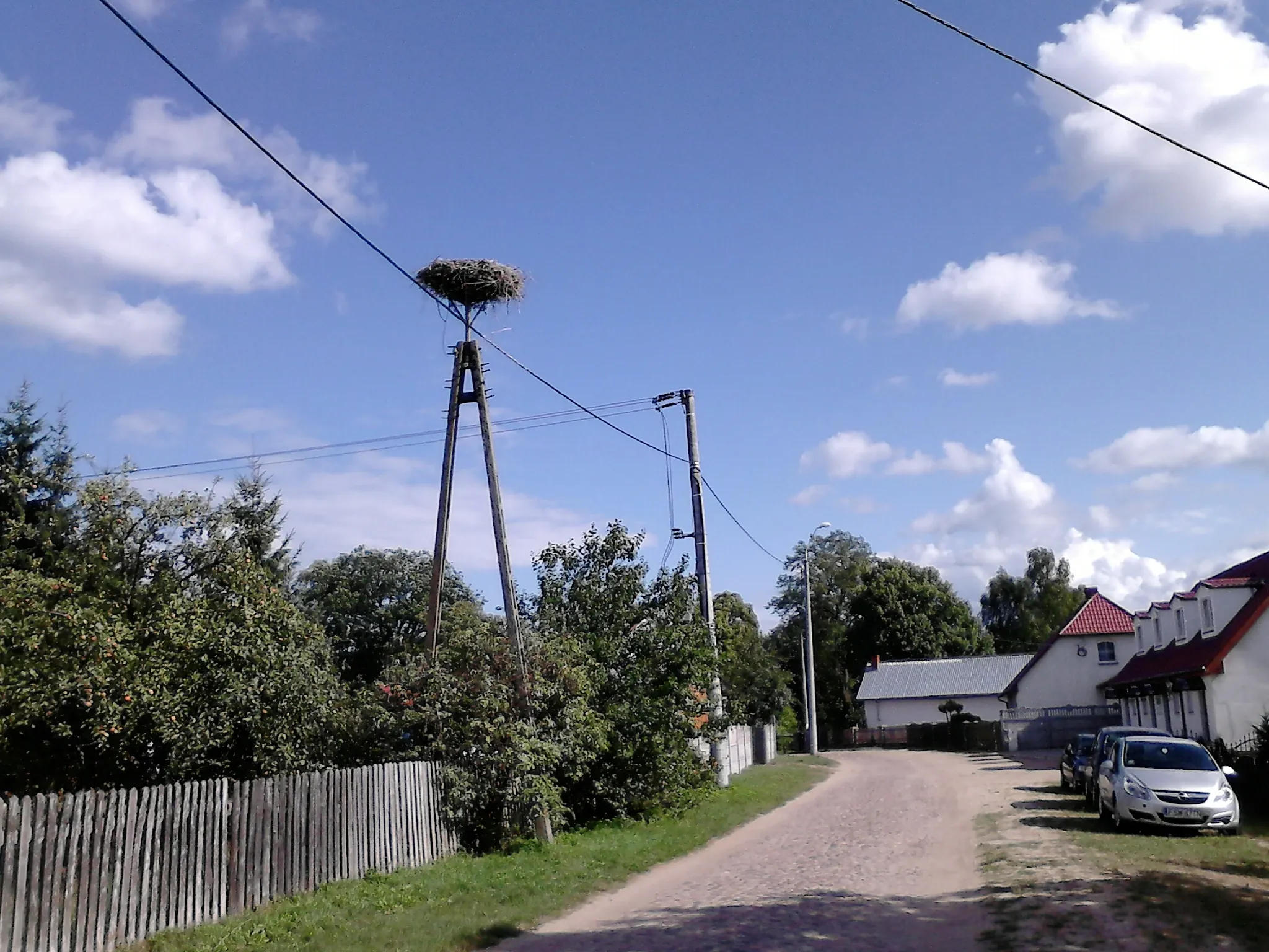 Photo showing: Gniazdo bocianów w Zatomiu