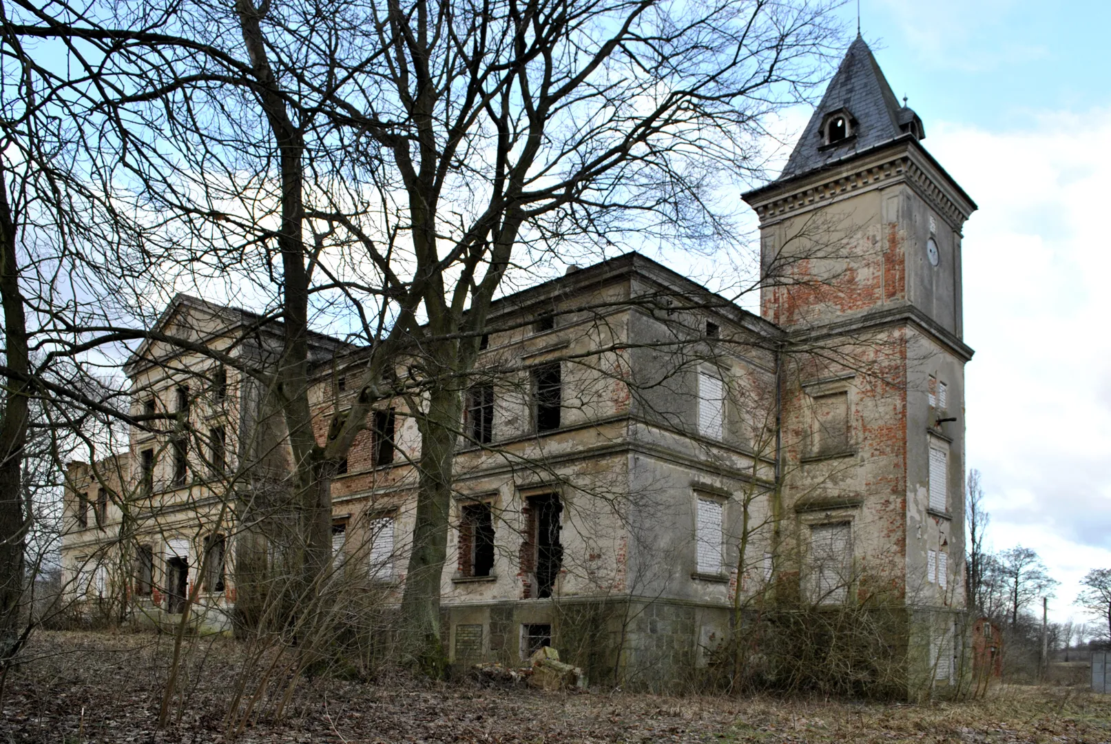 Photo showing: Wierzbięcin - pałac (zabytek nr 1124)