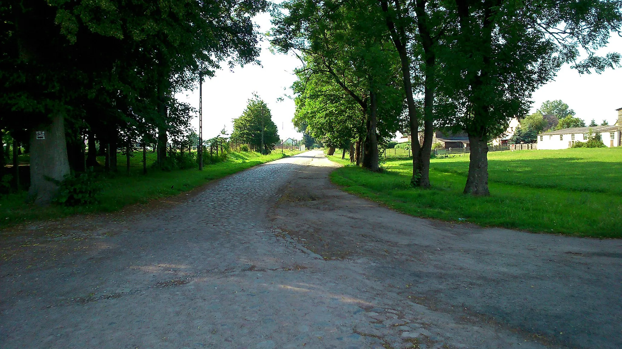 Photo showing: Trzciniec - village in Drawsko County, Poland.