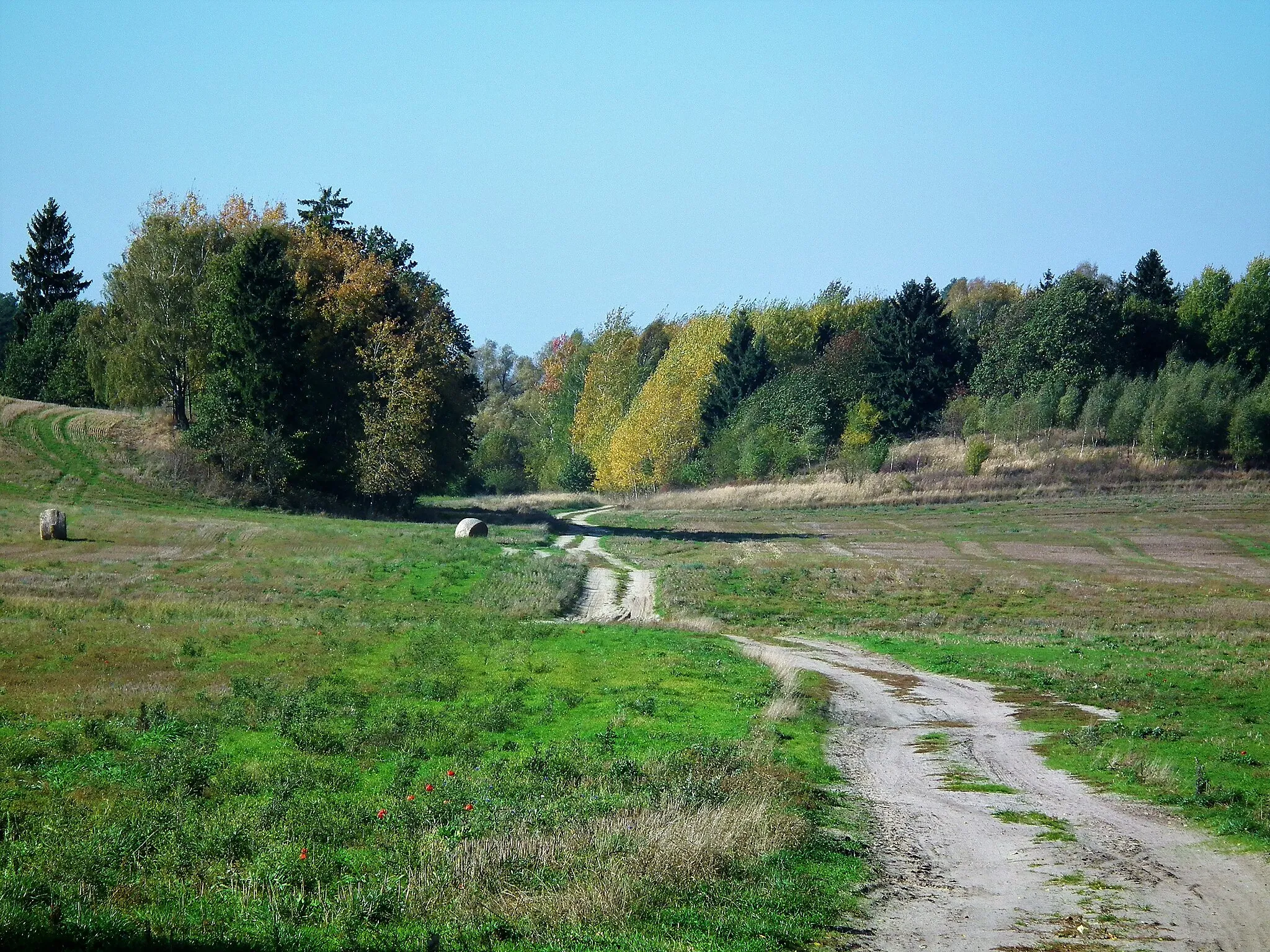 Photo showing: Gmina Chociwel. Okolice Starzyc.