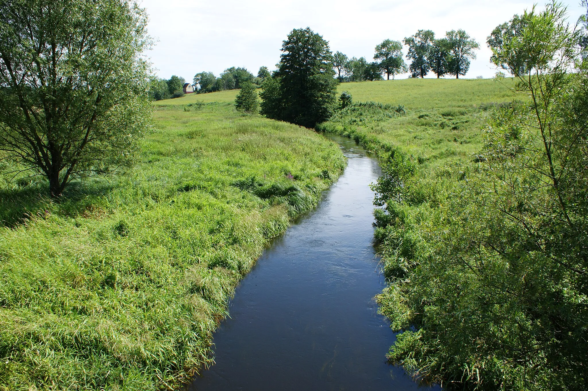 Photo showing: Drawa river West from bridge between Darskowo and Rzęśnica (Złocieniec commune, NW Poland)