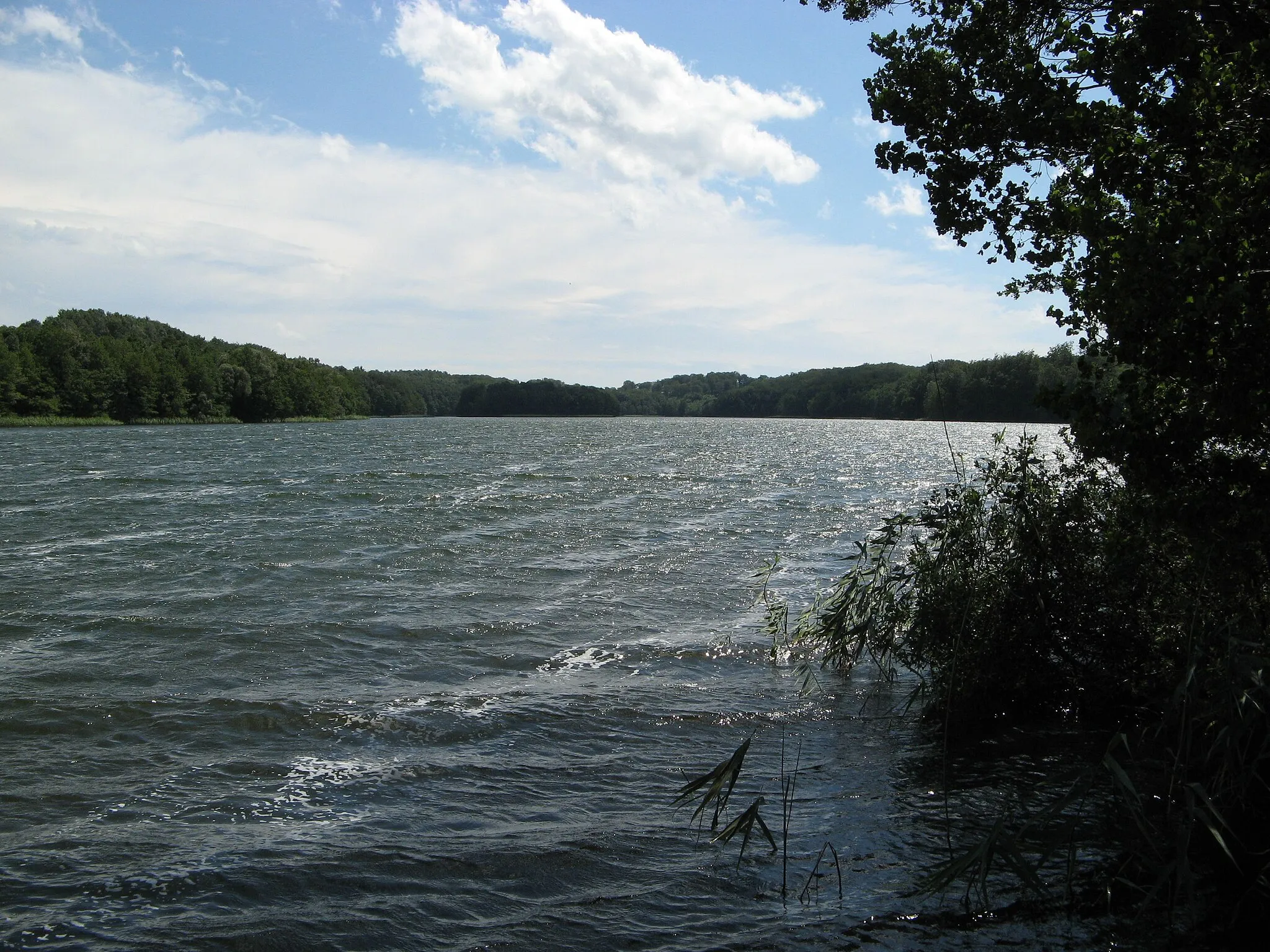 Photo showing: Jezioro Wielkie Dąbie