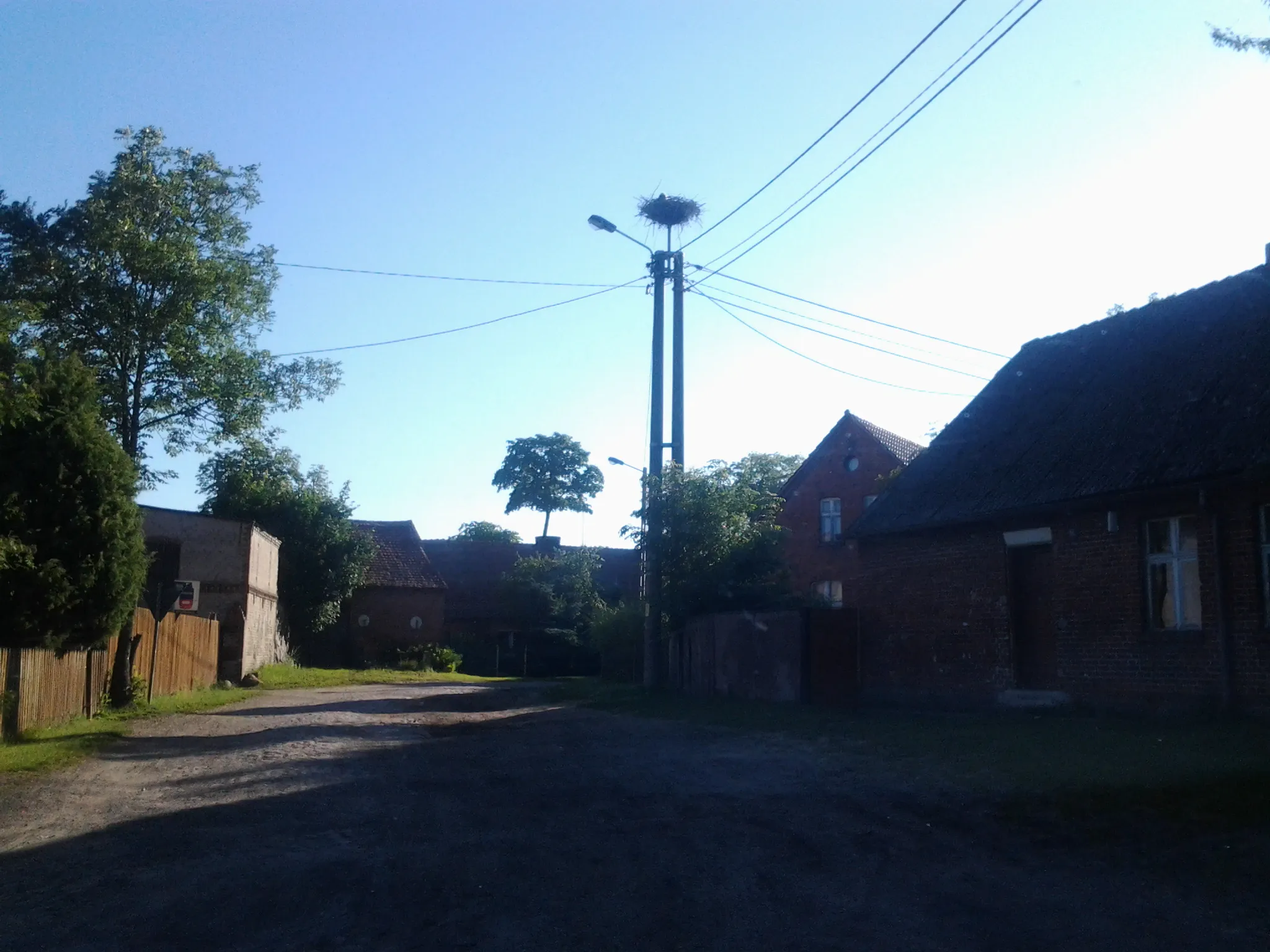 Photo showing: Bocianie gniazdo w Piaseczniku