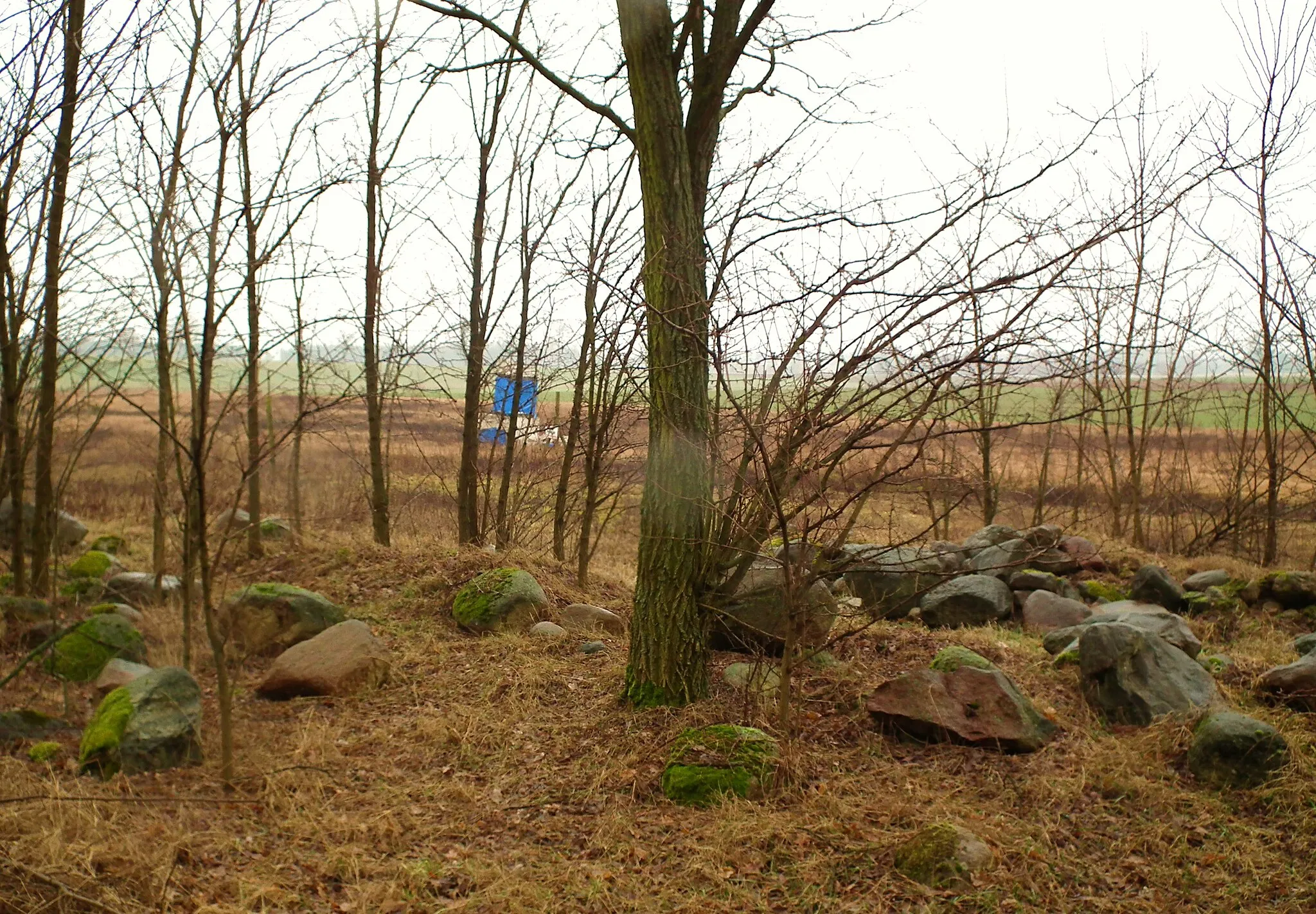 Photo showing: Stary cmentarz ewangelicko-augsburski w Paruszce.