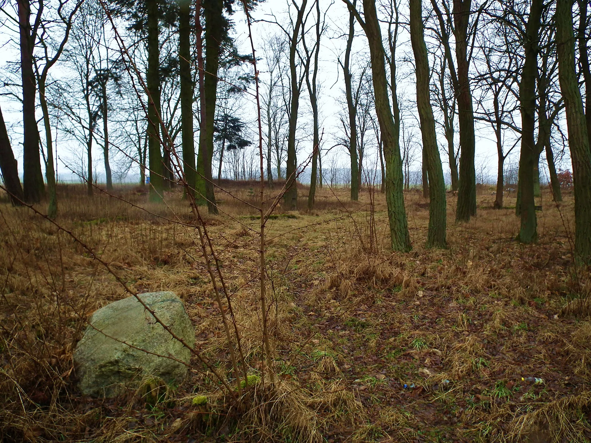 Photo showing: Stary cmentarz ewangelicko-augsburski w Paruszce.