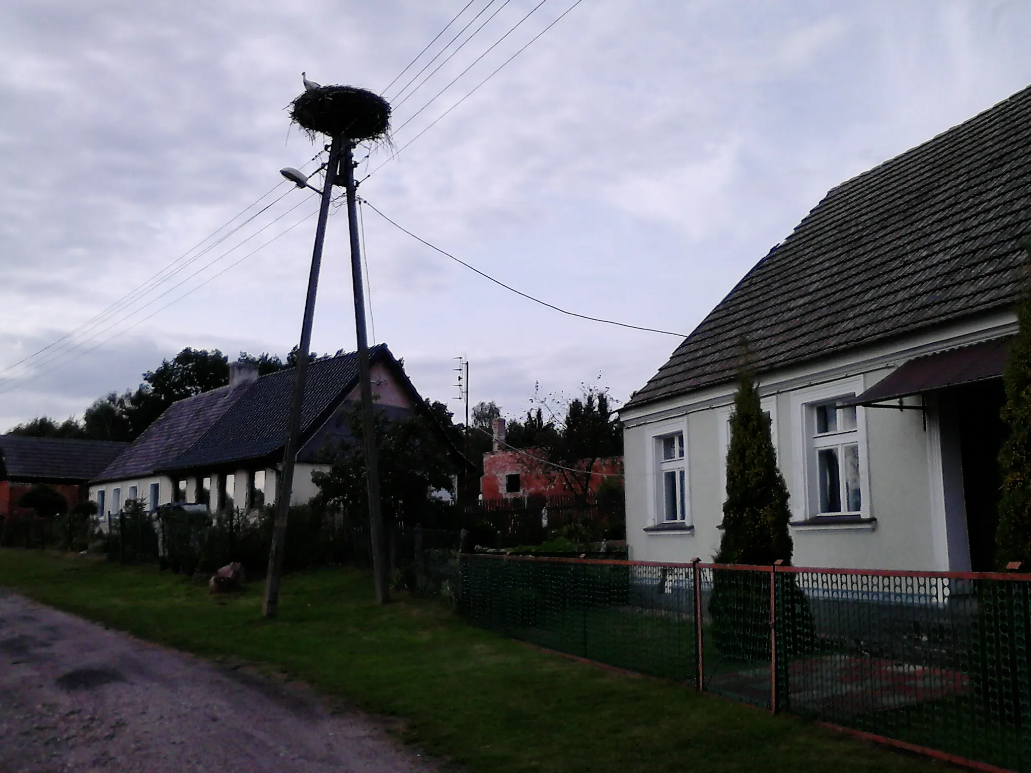 Photo showing: Ognica - gniazdo bocianów