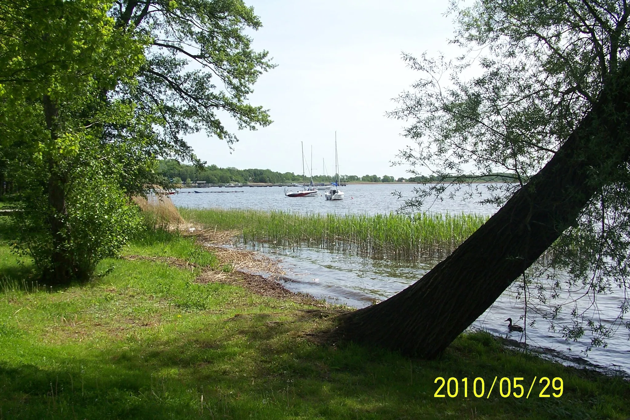 Photo showing: Jezioro Miedwie