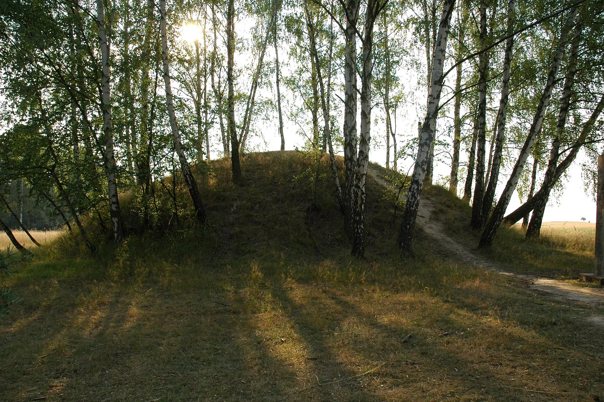 Photo showing: Tumulus I in Przywóz