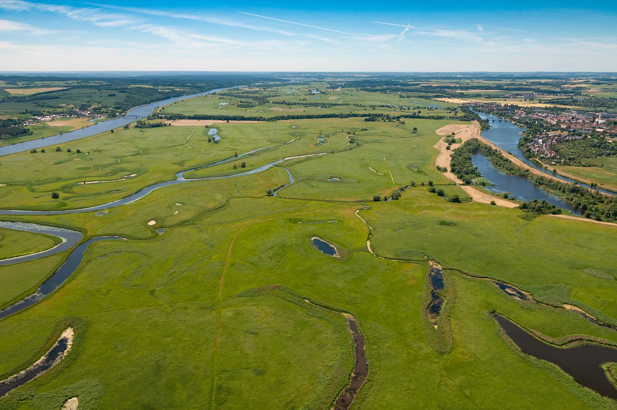 Photo showing: Polderwiesen bei Schwedt