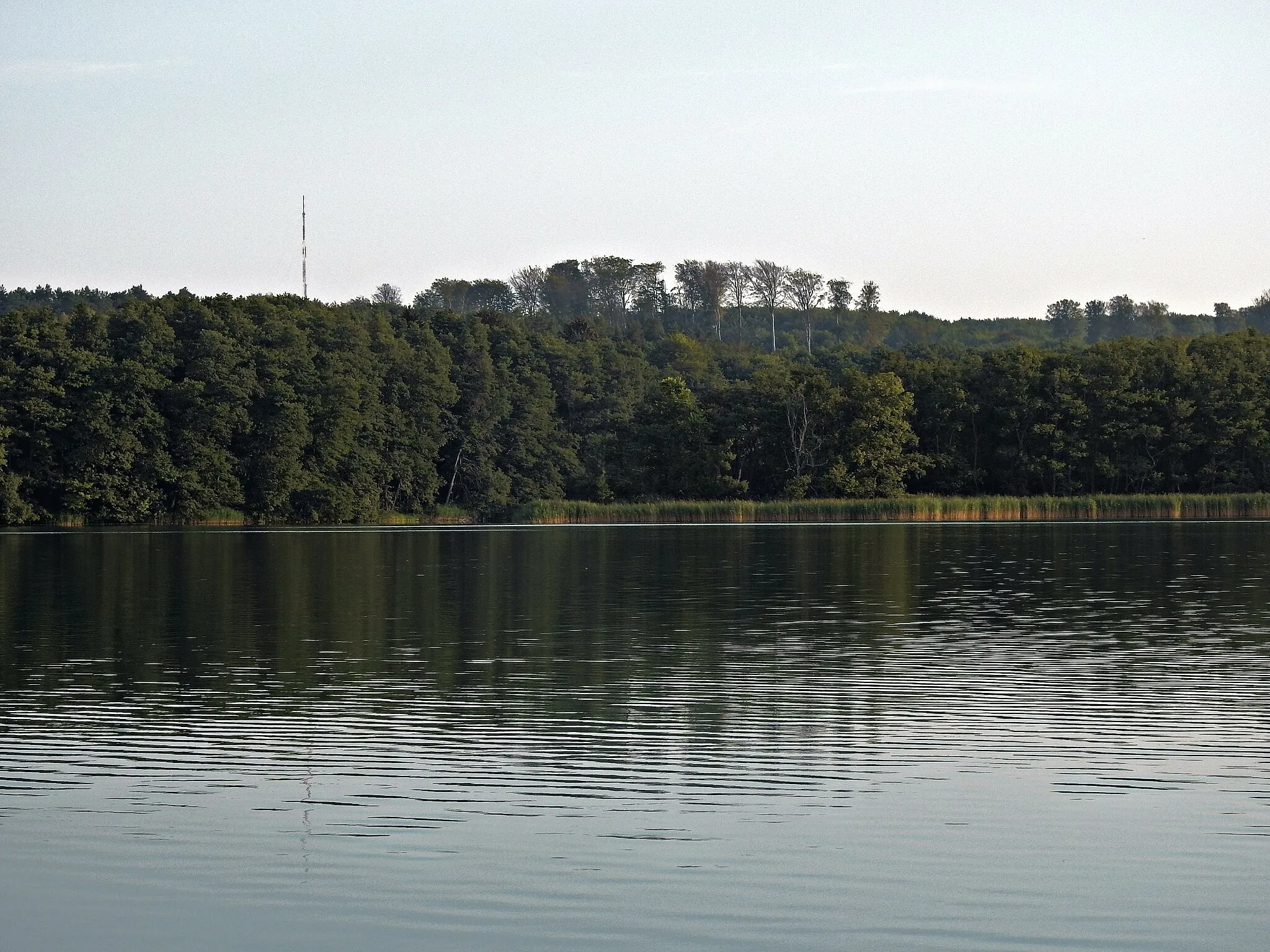 Photo showing: Jezioro Glinna Wielka - brzeg północny. W tle po lewej maszt RTCN Kołowo, na środku wzgórza Puszczy Bukowej. Poniżej po prawej drzewa Pieprzowego Bagna.