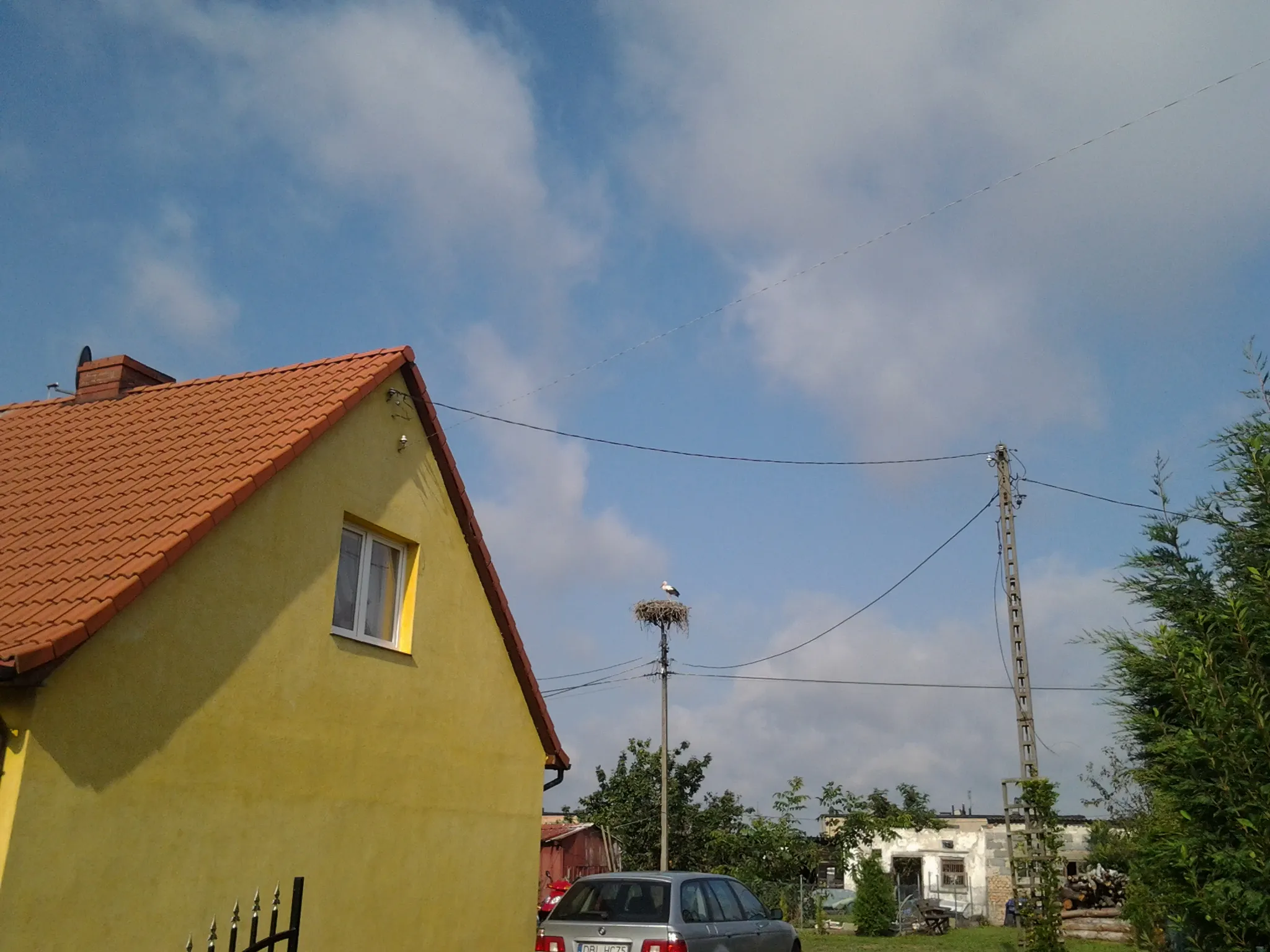 Photo showing: Bocianie gniazdo w Dębicach