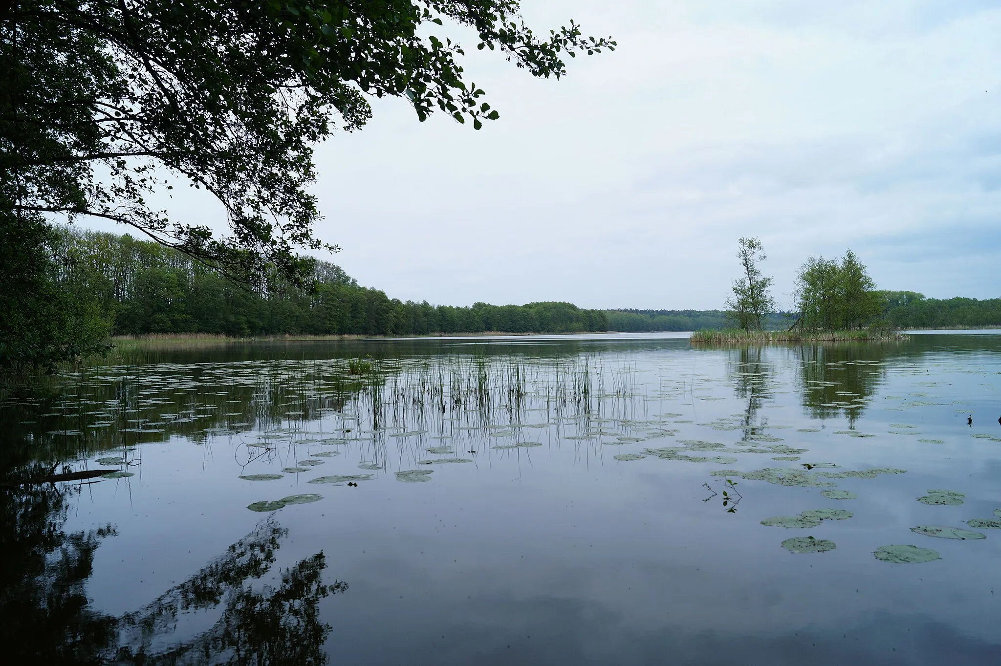 Photo showing: Park krajobrazowy Iński Park Krajobrazowy.