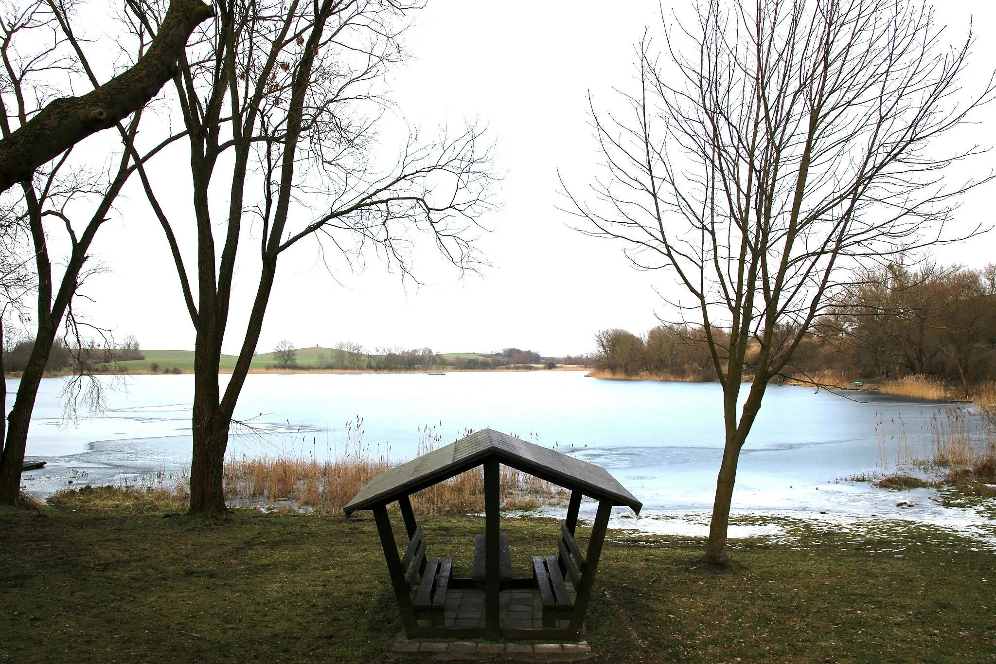 Photo showing: Am Südende des Schmöllner Sees