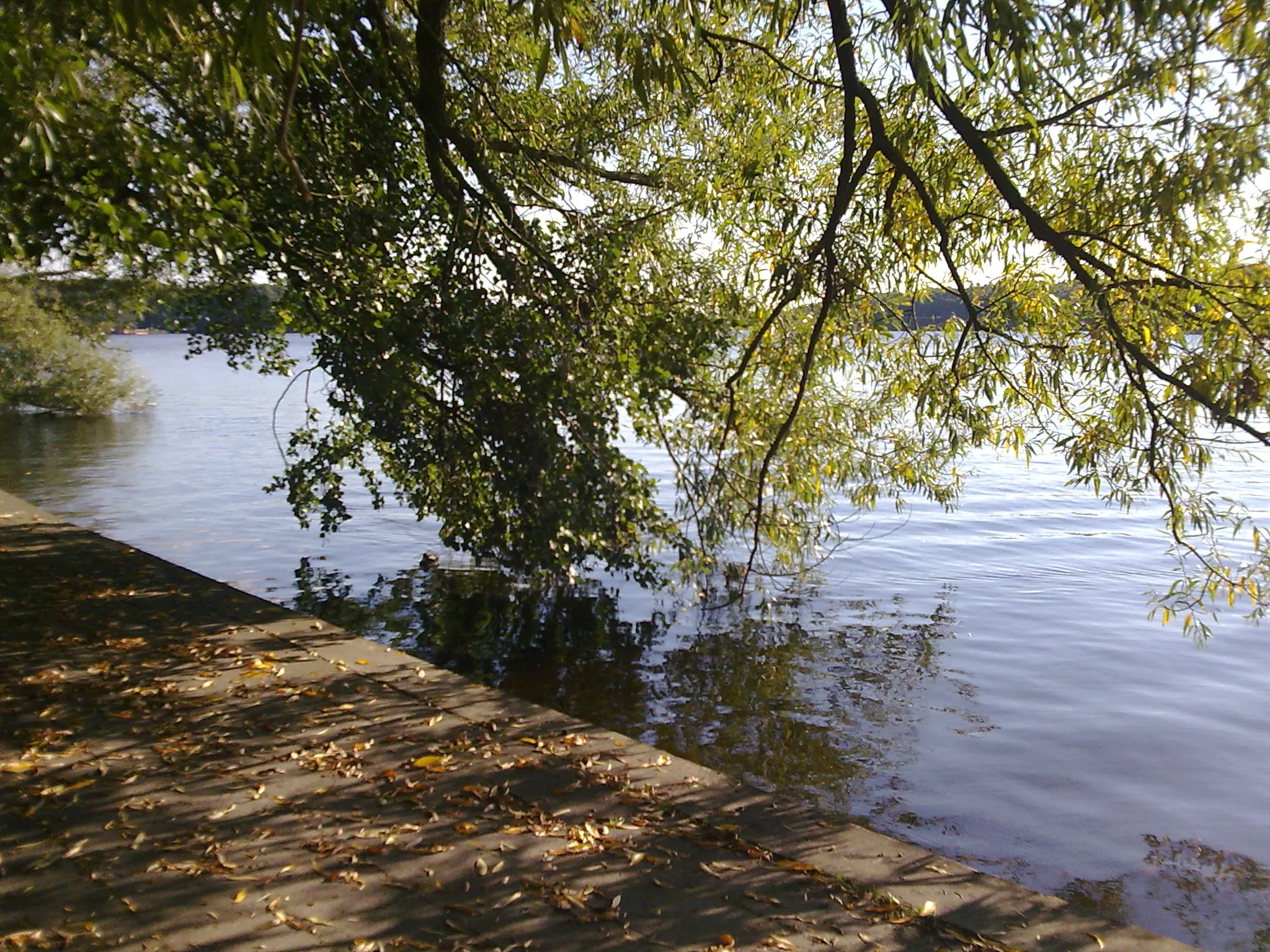 Photo showing: w parku nad jeziorem Trzesiecko