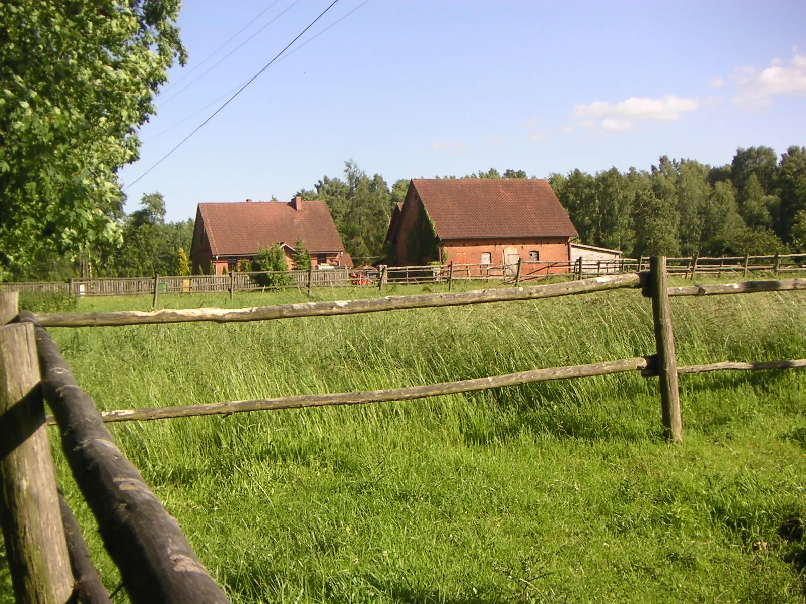 Photo showing: Szczeciński Park Krajobrazowy "Puszcza Bukowa", osada leśna Kołówko, widok od zachodu