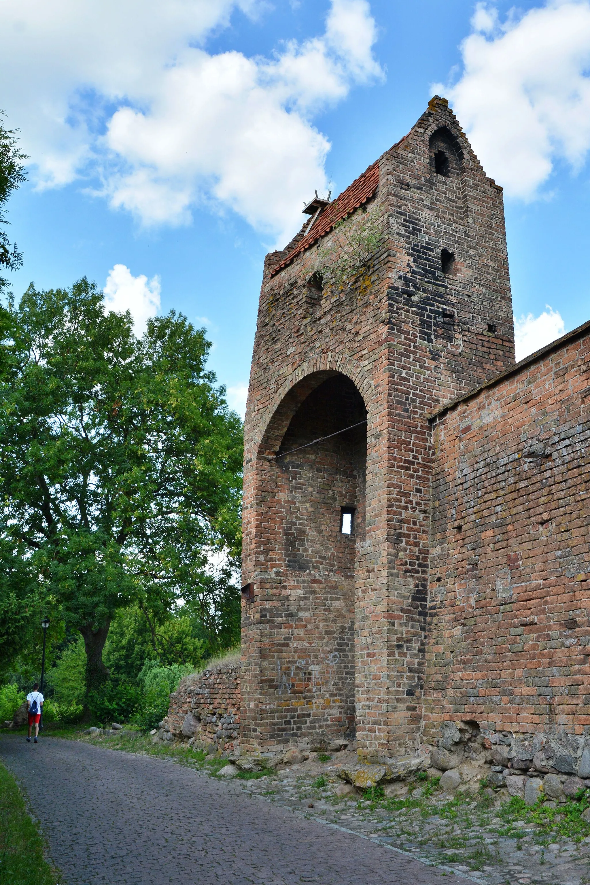 Photo showing: Baszta Bociania w Chojnie